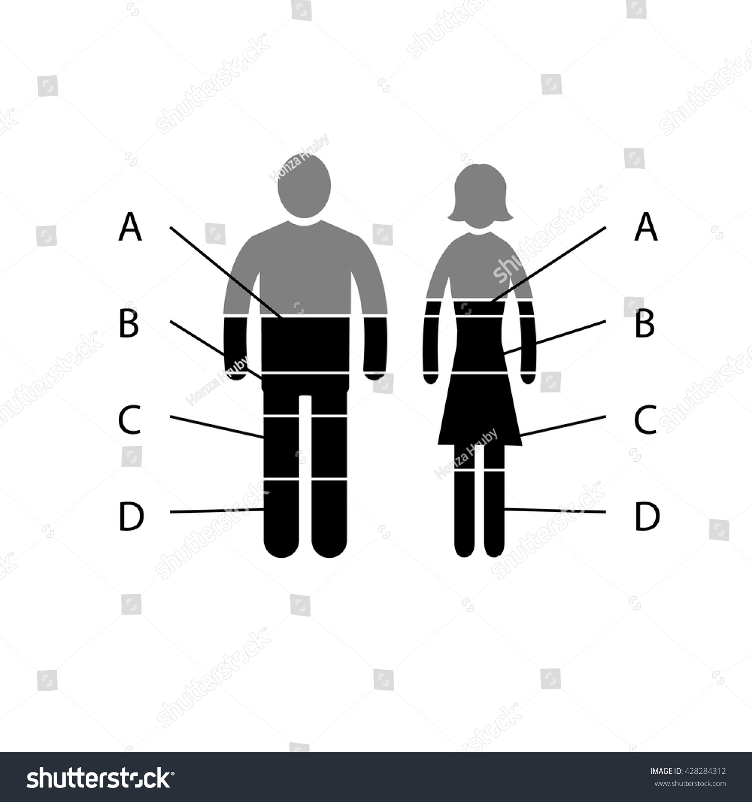 Conceptual Infographic Gender Chart Modern Flat Vector De Stock Libre De Regalías 428284312 9621