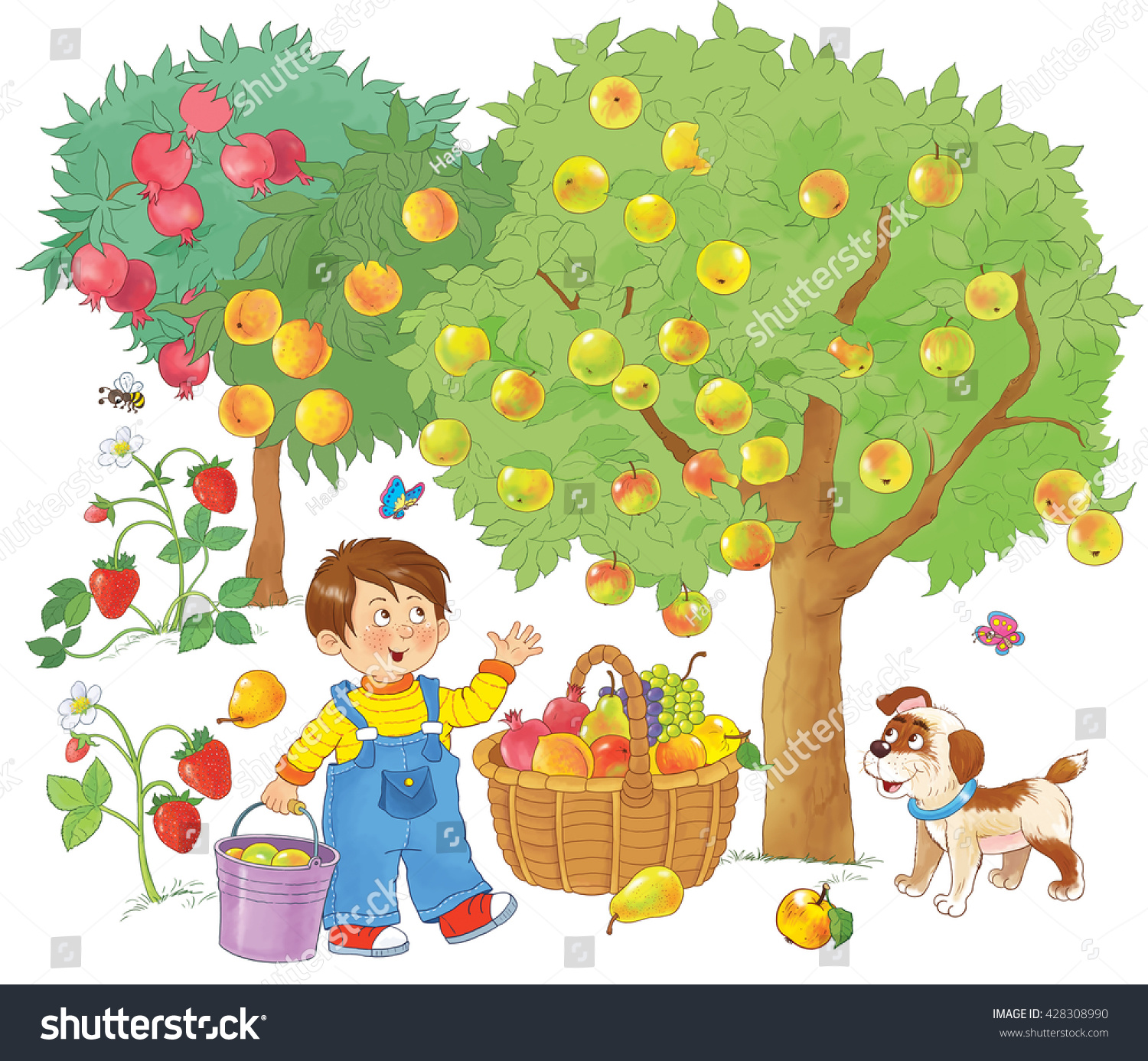 Дети в саду яблоня