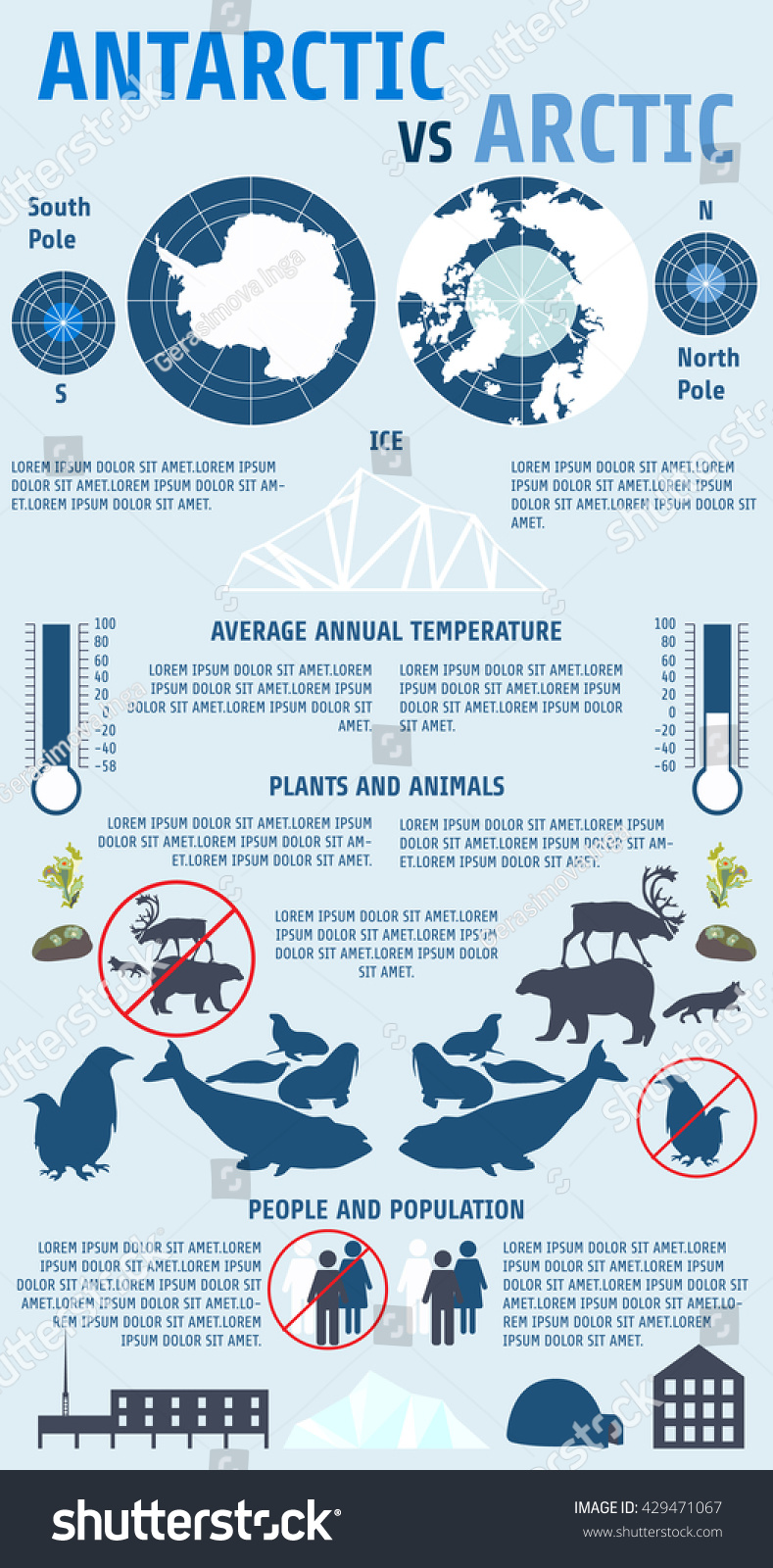 Antarctic Vs Arctic Infographicsnorth Pole South: เวกเตอร์สต็อก (ปลอด ...