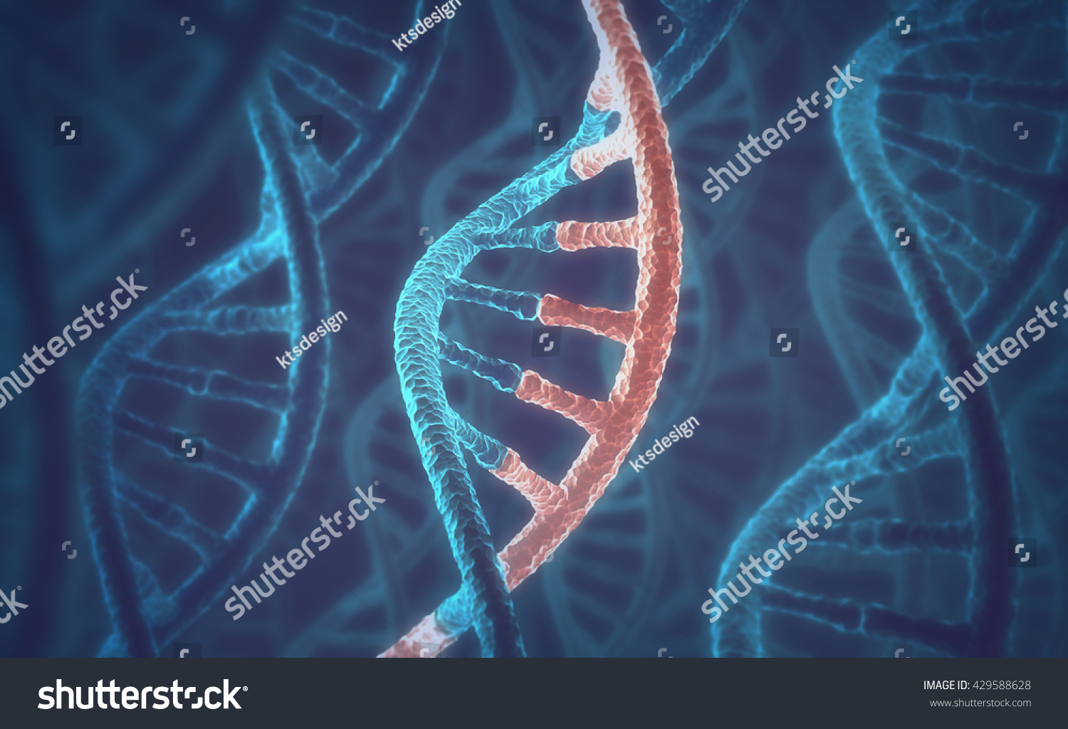 dna-rna-3d-429588628-shutterstock