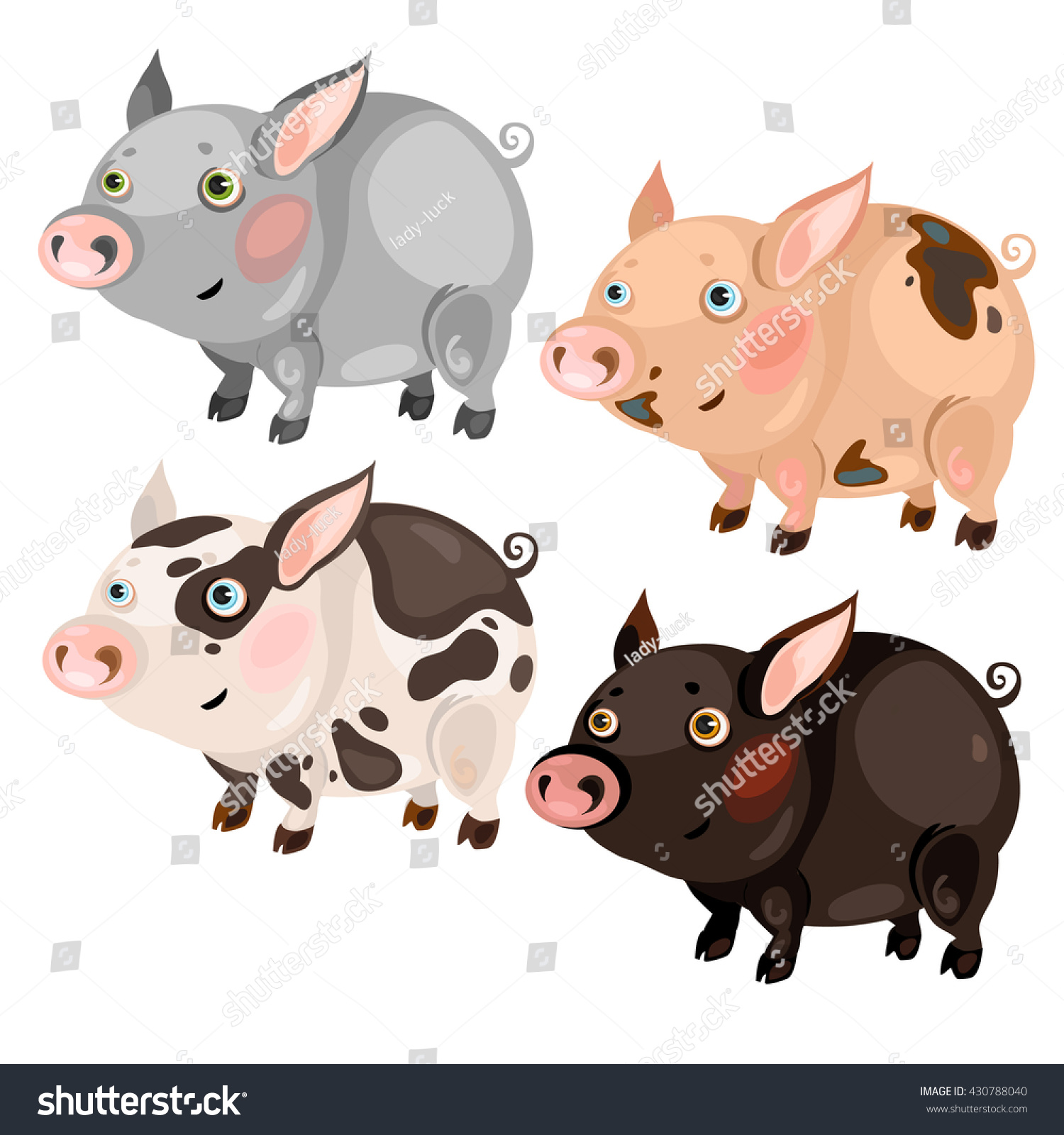 Set Pigs Various Breeds Vector Illustration Stock Vector (Royalty Free ...