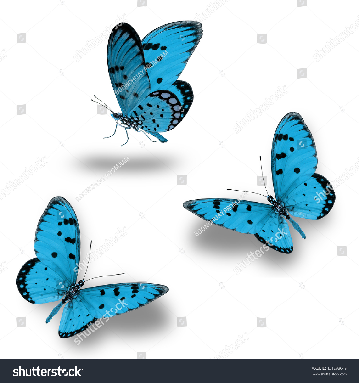 Butterfly Set Beautiful Blue Butterflies Flying Stock Photo 431298649 ...