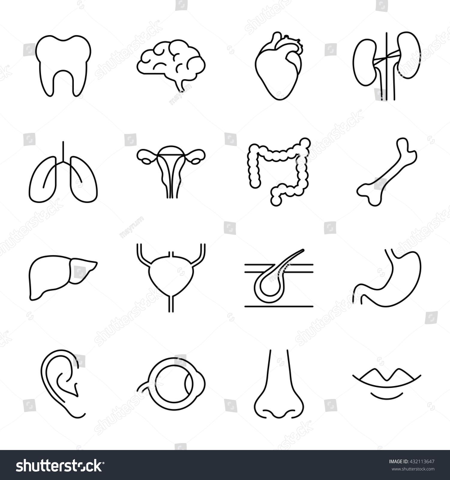 Organs Human Body Set Vector Icons Stock Vector (Royalty Free ...