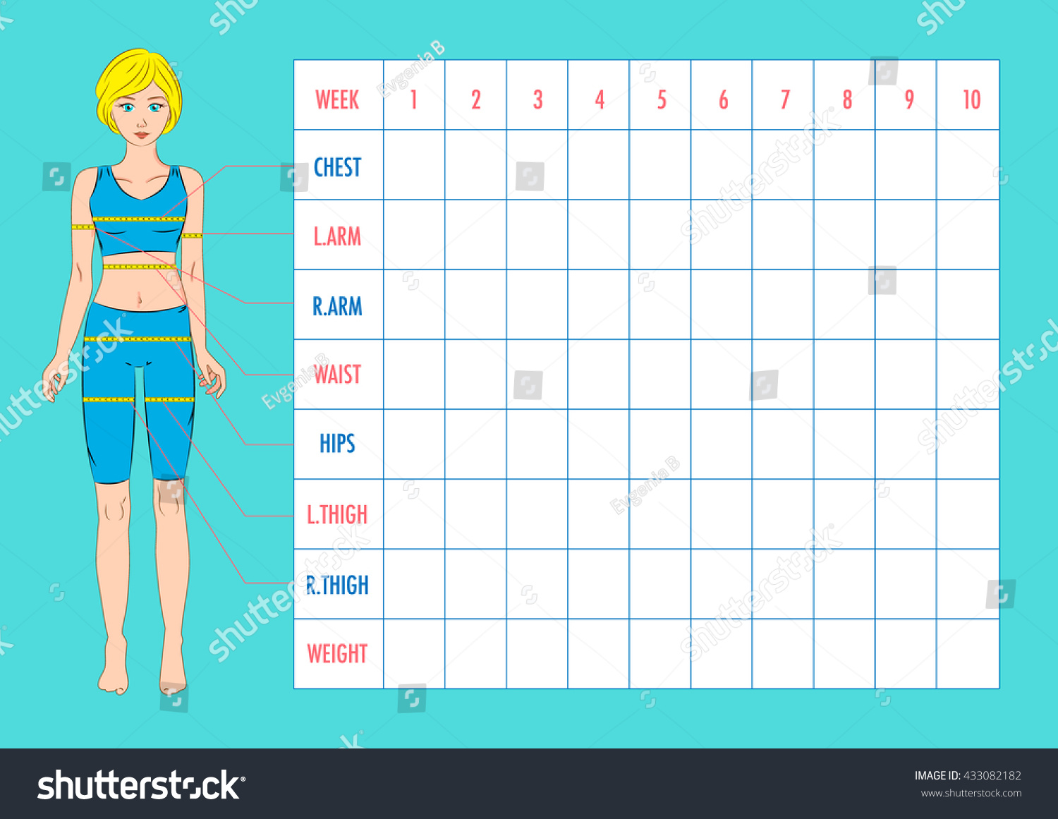 Body Measurement Tracking Chart Layout Blank Stock Vector (Royalty Free