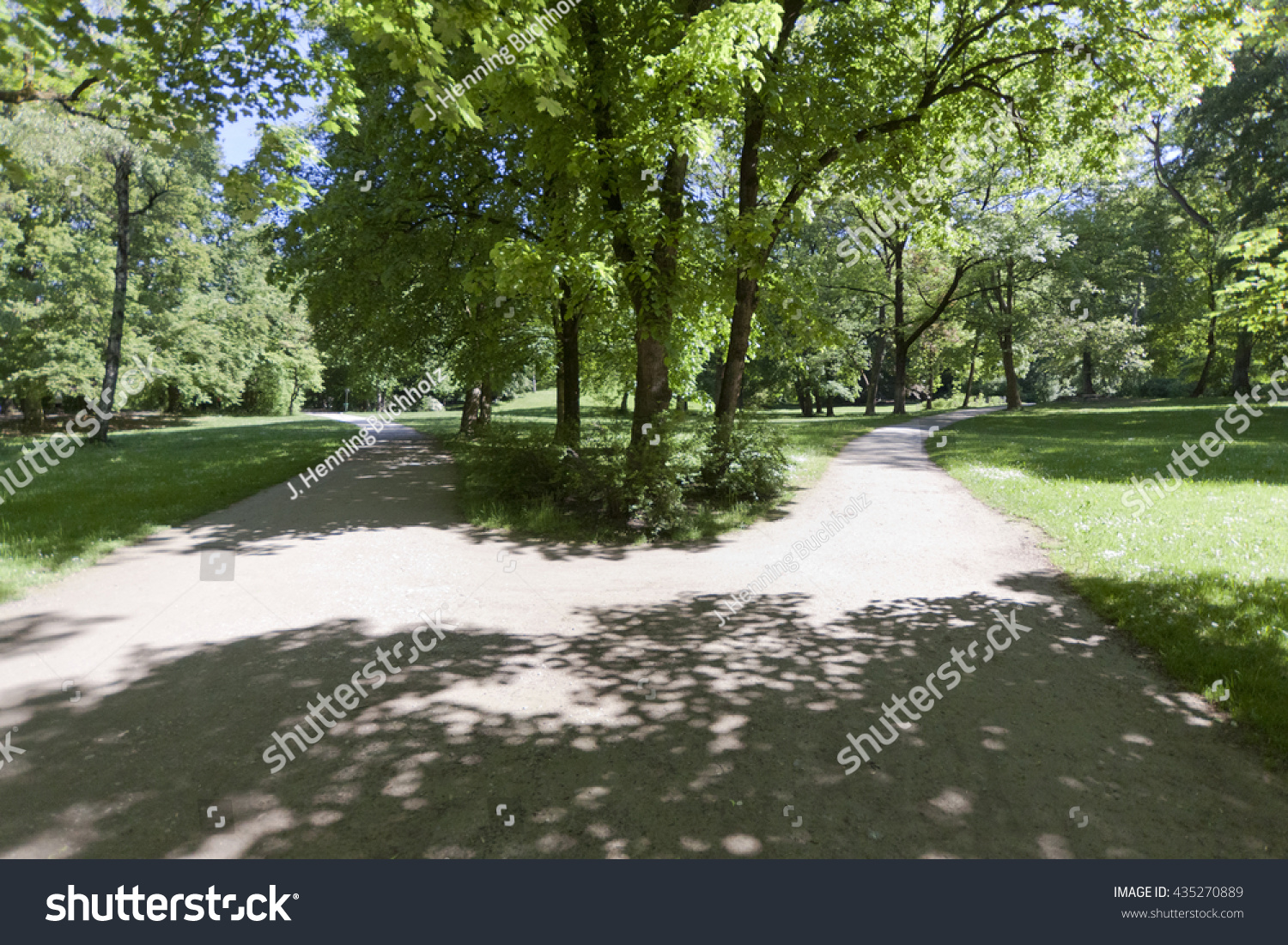 Crossroads Lush Green Forest Diverging Pathway Stock Photo 435270889 ...