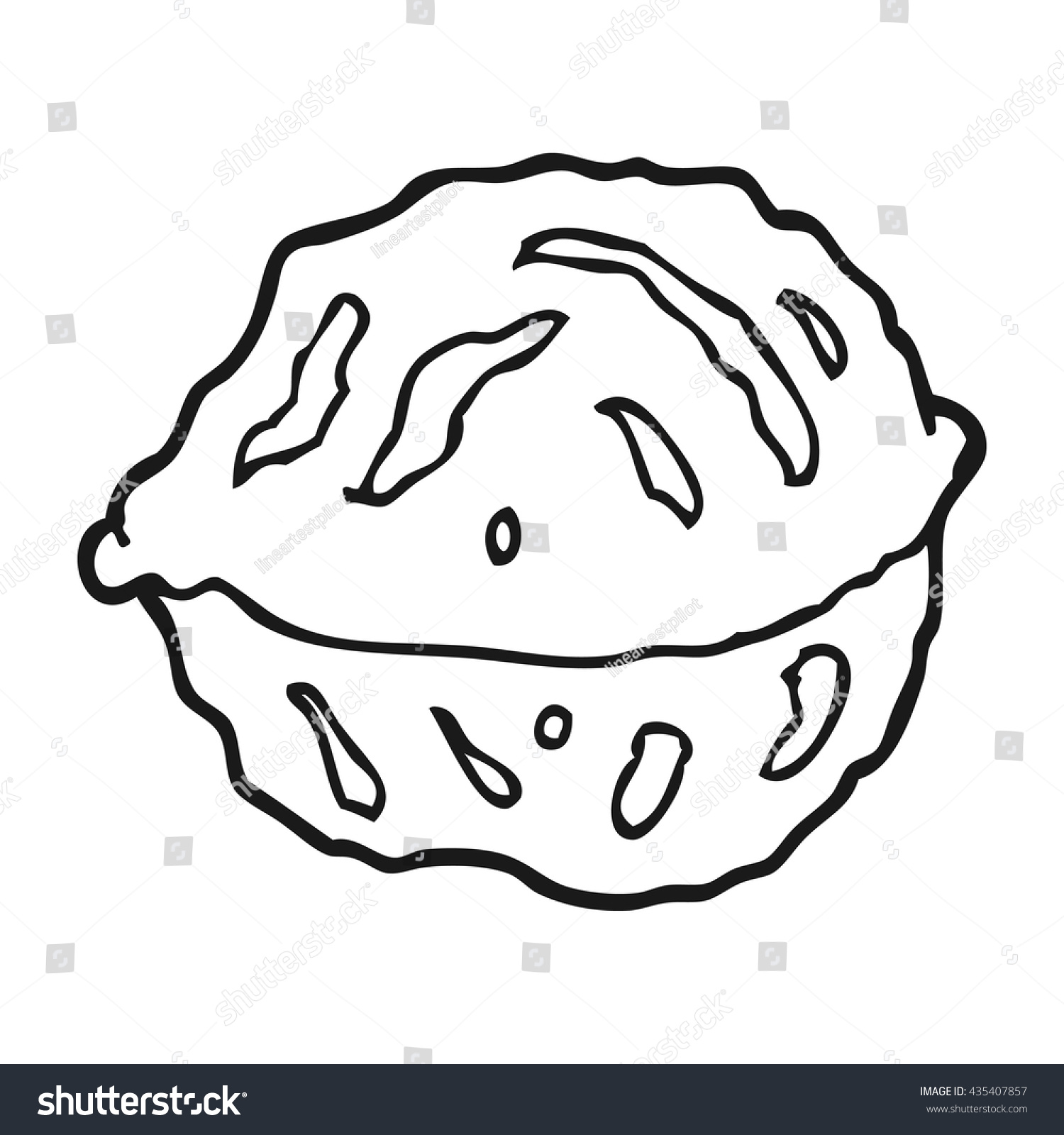 Freehand Drawn Black White Cartoon Walnut Stock Vector (Royalty Free ...