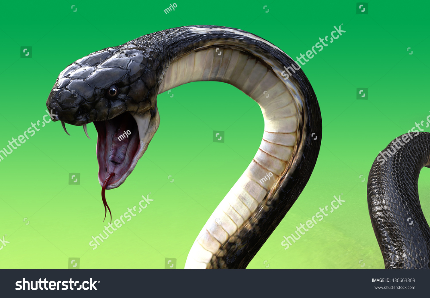 3d King Cobra Snake Isolated On Stock Illustration 436663309 