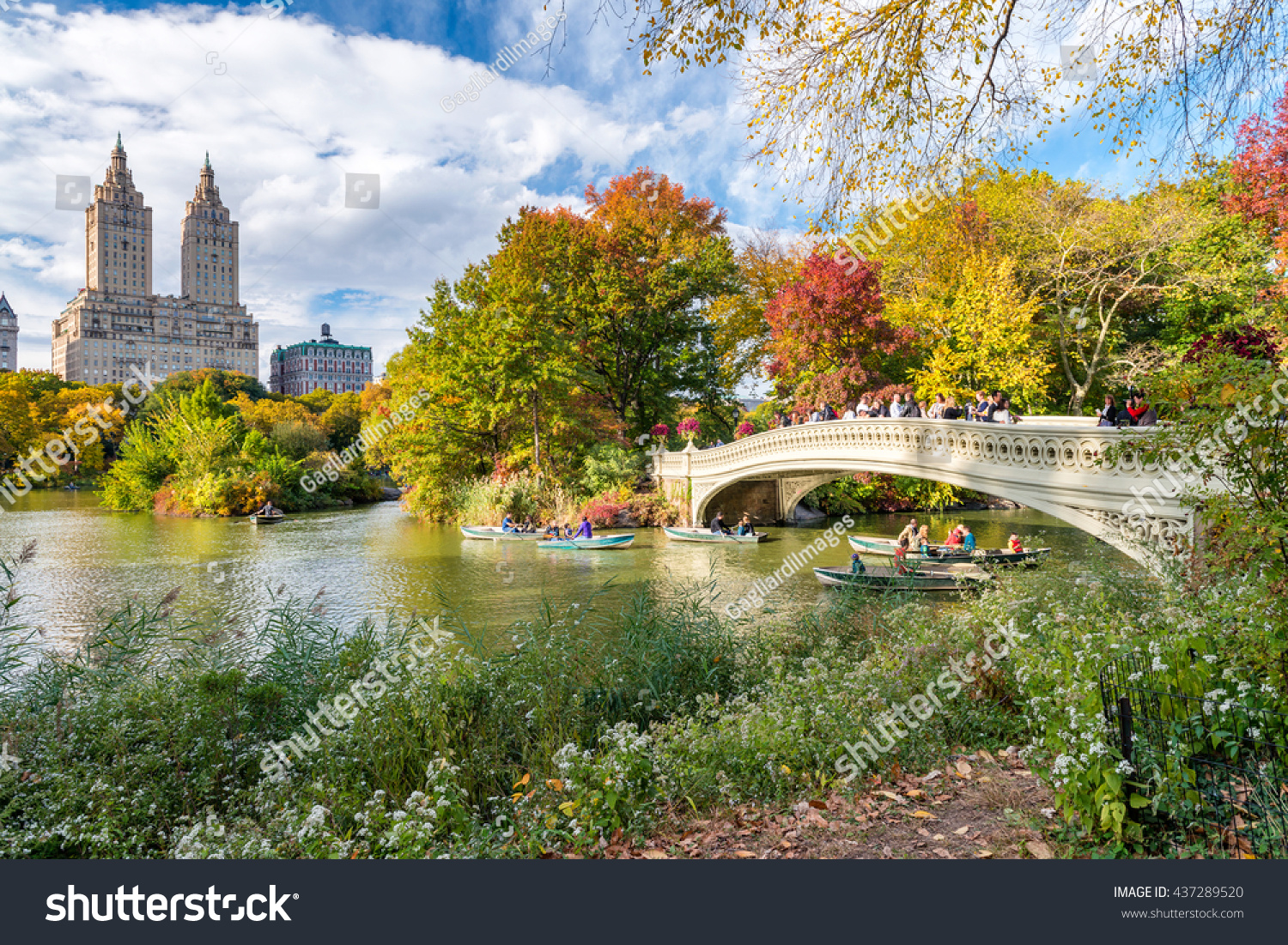 Beautiful Foliage Colors New York Central Stock Photo 437289520 ...