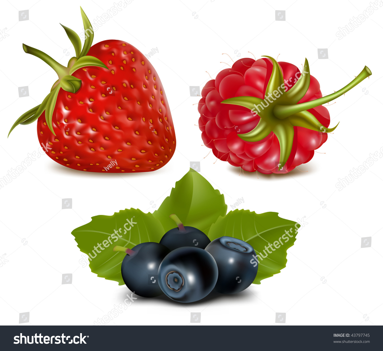 Photorealistic Vector Illustration Strawberry Raspberry Blueberries ...