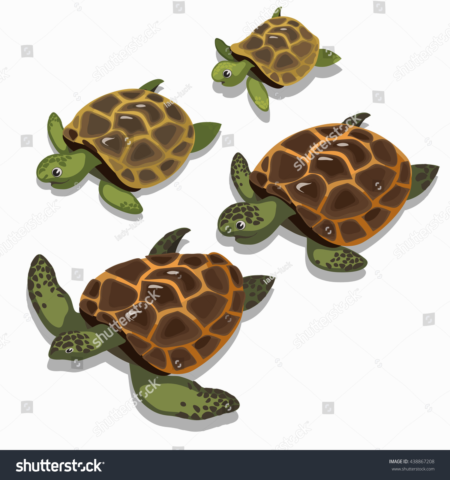 Stage Growth Maturation Large Sea Turtle Stock Vector (Royalty Free ...