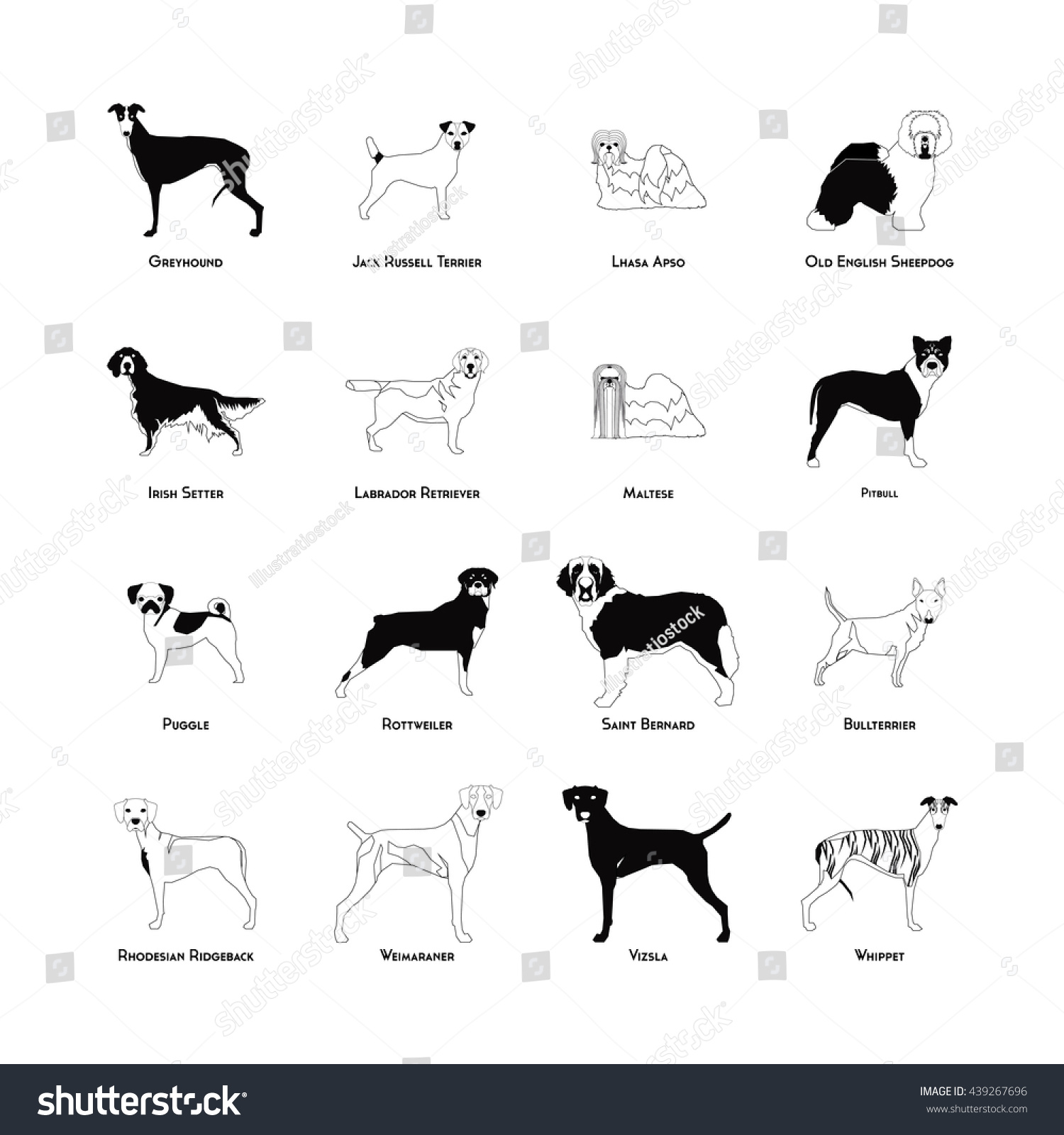 Силуэты собак разных пород с названиями