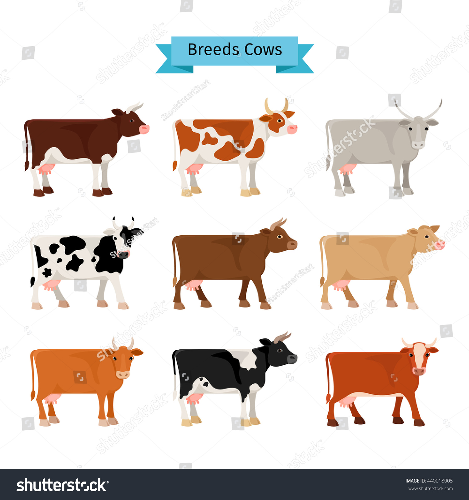 Cow Flat Icons Vector Cows Different Stock Vector (royalty Free 