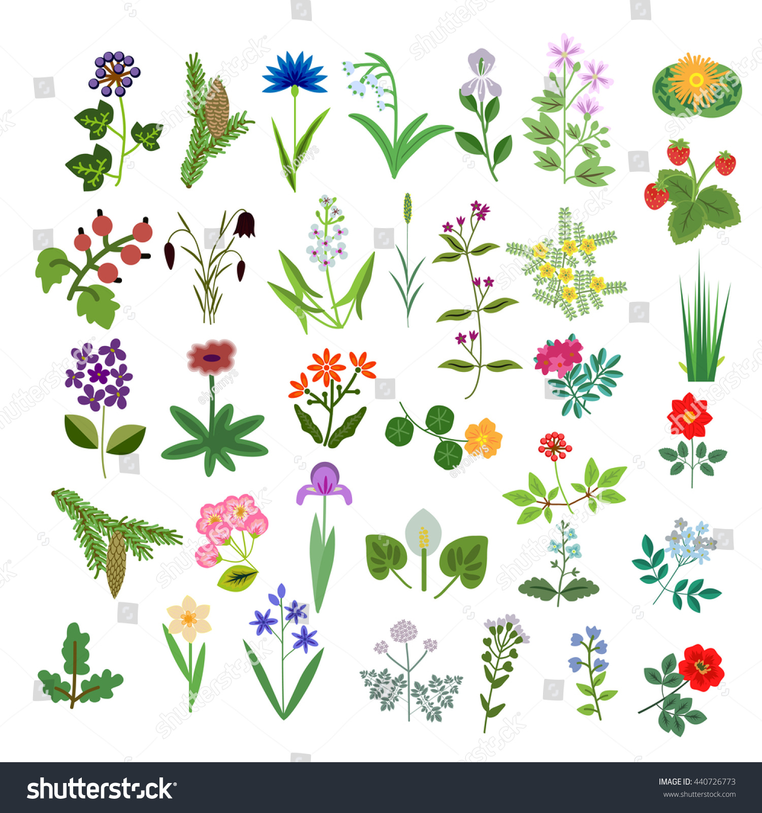 Set Decorative Vector Plants Stock Vector (Royalty Free) 440726773 ...