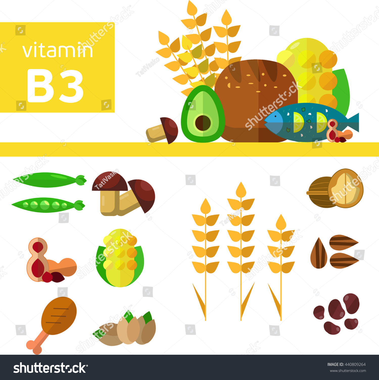 Vitamins Minerals Foods Illustration Vector Set Stock Vector (Royalty ...