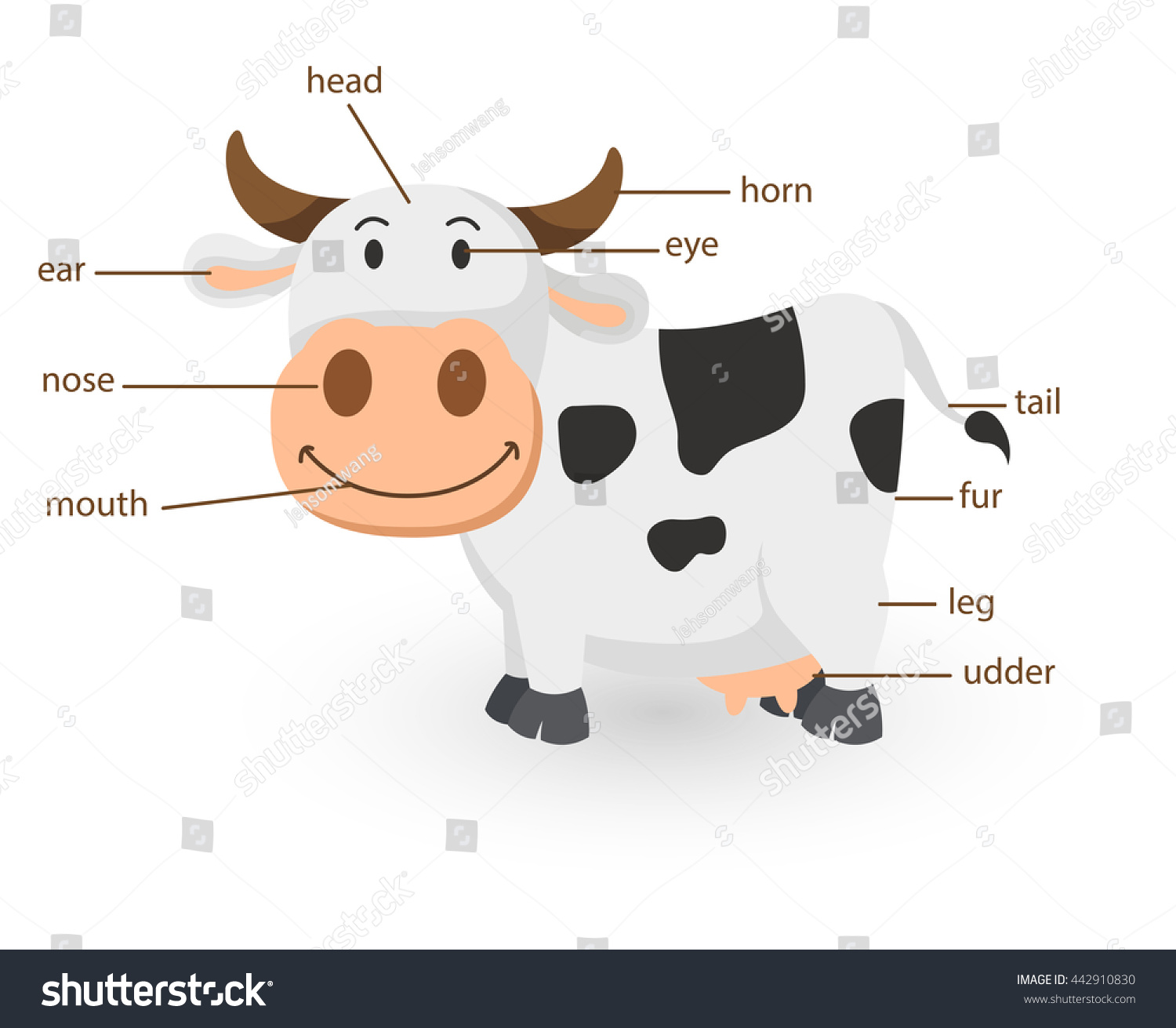 Illustration Cartoon Cow Vocabulary Part Body Stock Vector (Royalty ...