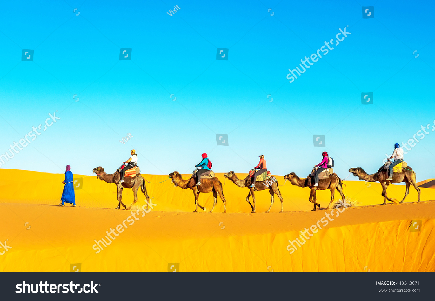 Camel Caravan Going Through Sand Dunes Stock Photo 443513071 | Shutterstock