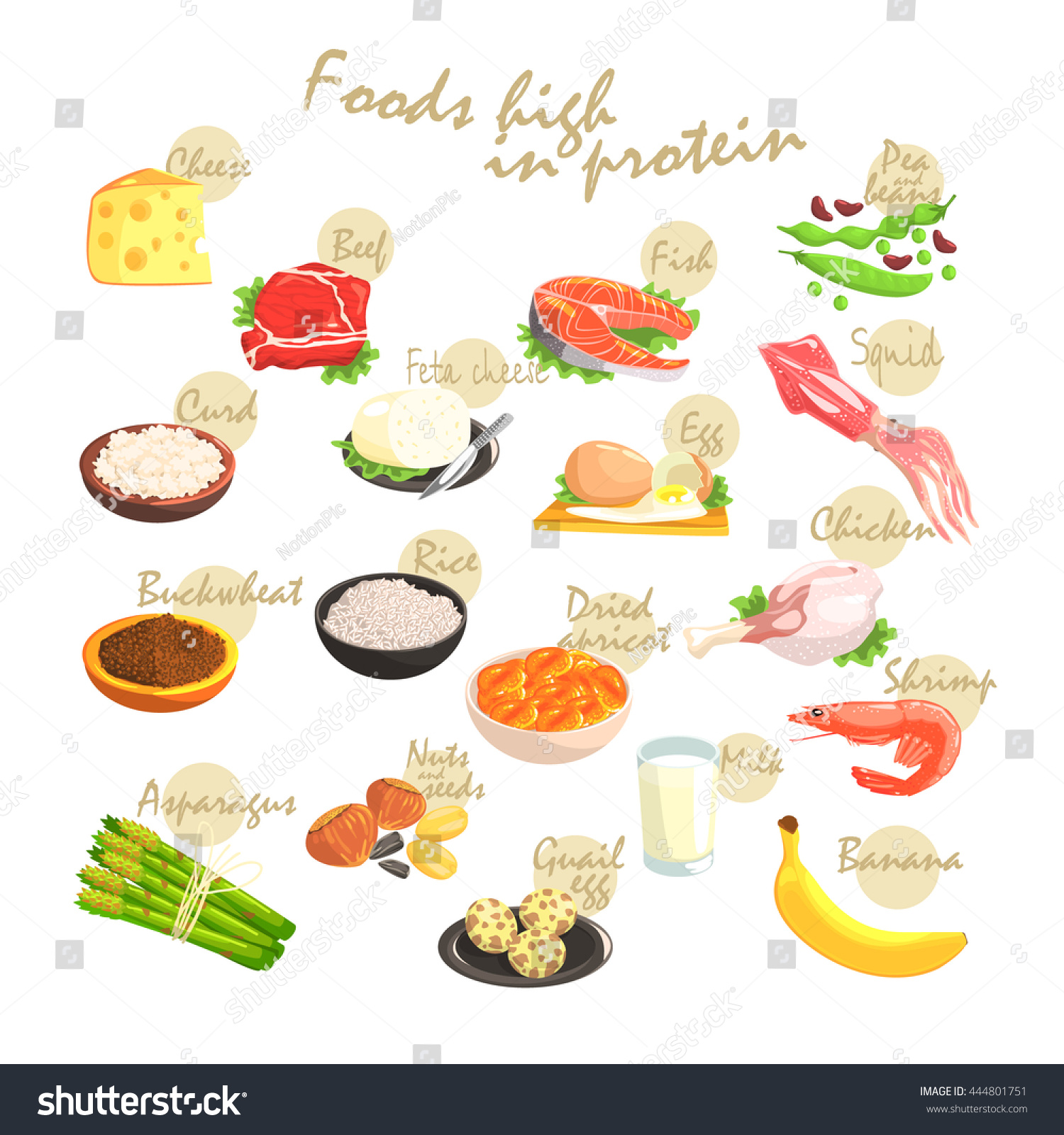 Food Rich Proteins Poster Stock Vector (Royalty Free) 444801751 ...