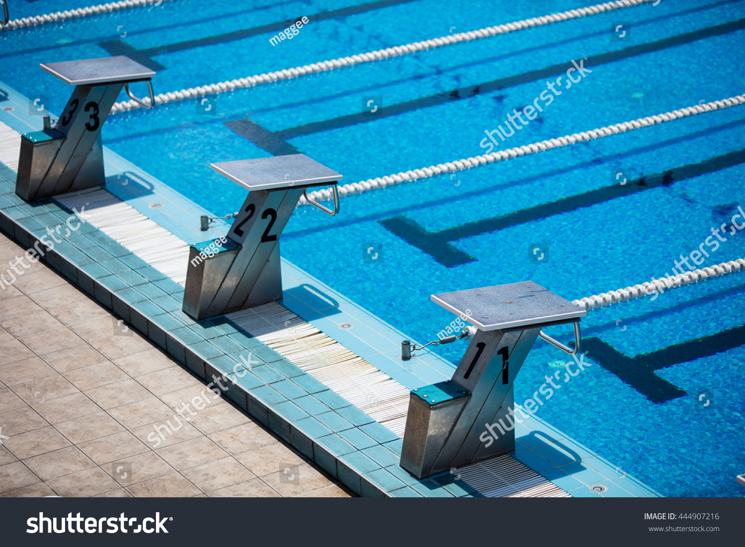 Empty Olympic Swimming Pool Clear Blue Stock Photo 444907216 | Shutterstock