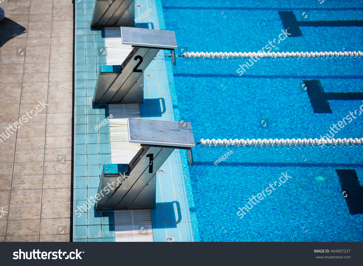 Empty Olympic Swimming Pool Clear Blue Stock Photo 444907237 | Shutterstock