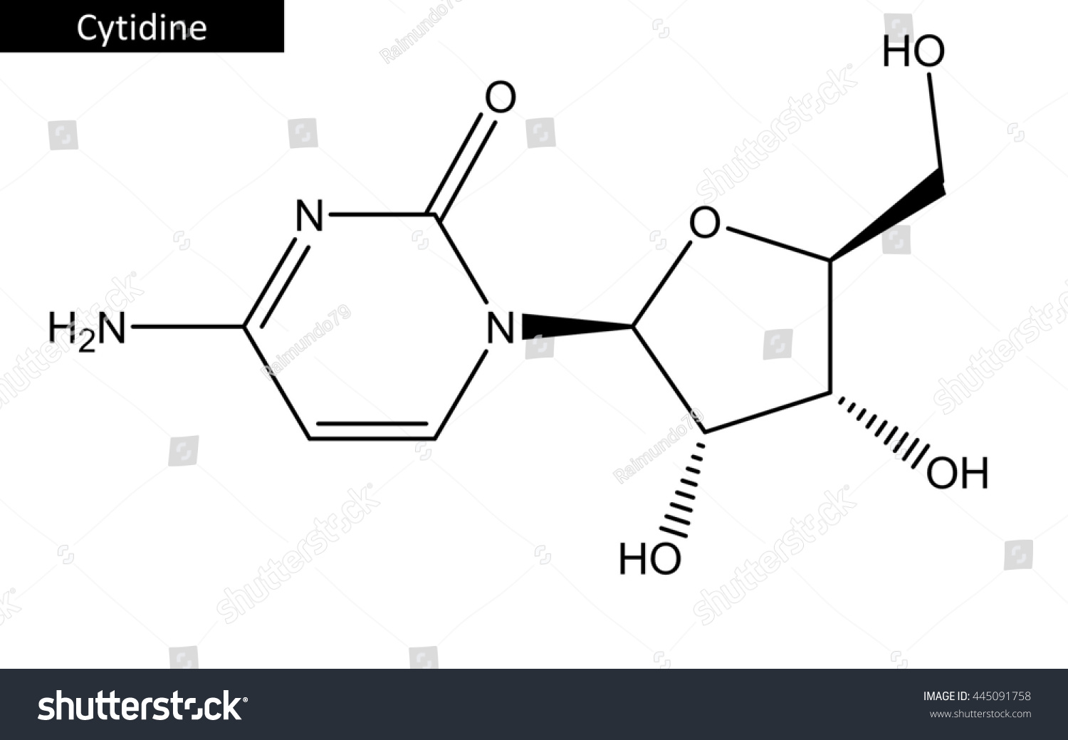 Molecular Structure Cytidine Nucleoside Molecule Formed Stock ...