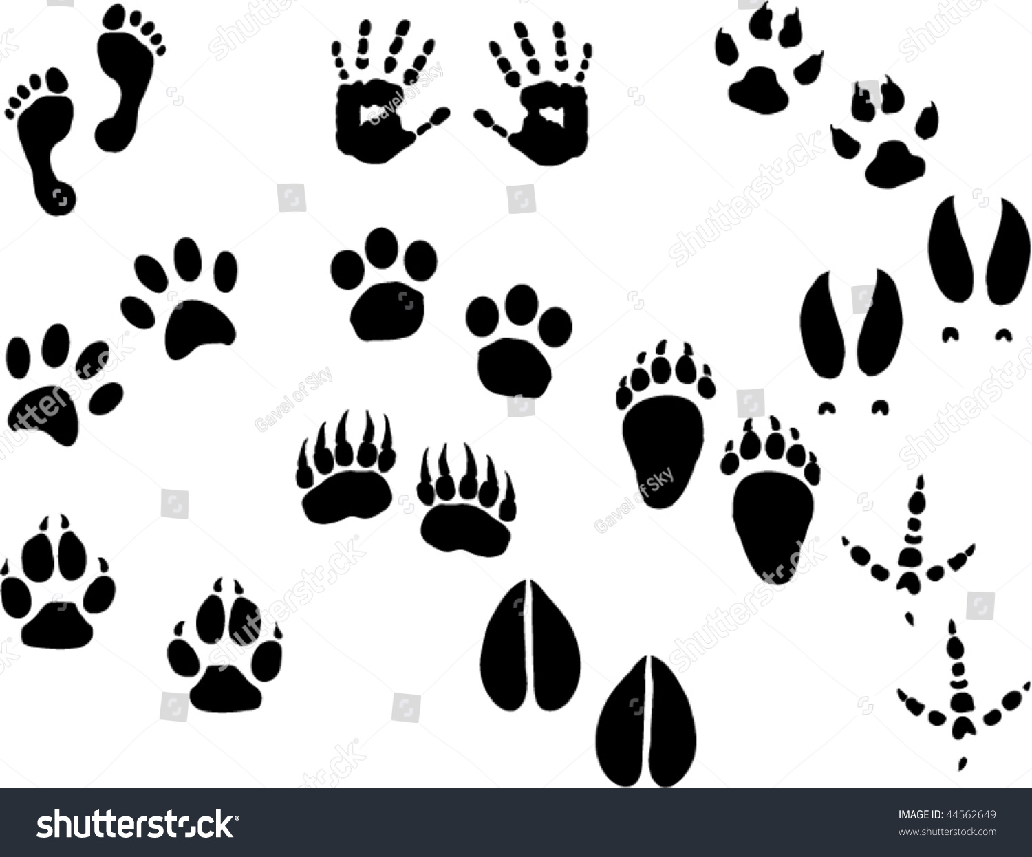 Footprints Vector Set Stock Vector (Royalty Free) 44562649 | Shutterstock