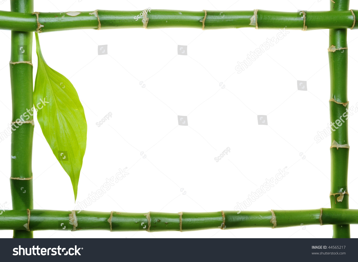 Bamboo Frame On White Background Stock Photo 44565217 | Shutterstock