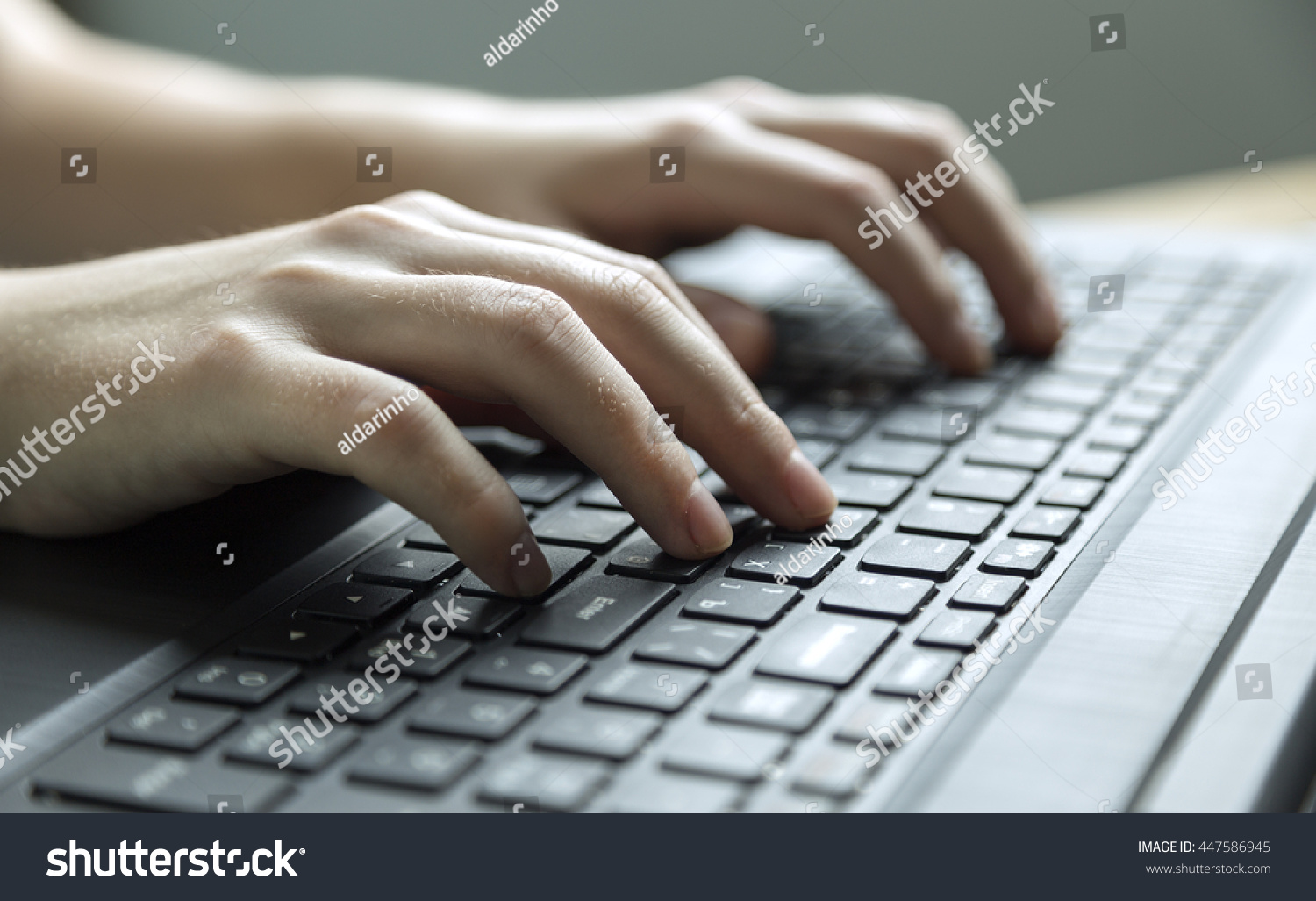 Hands Above Keyboard Stock Photo 447586945 