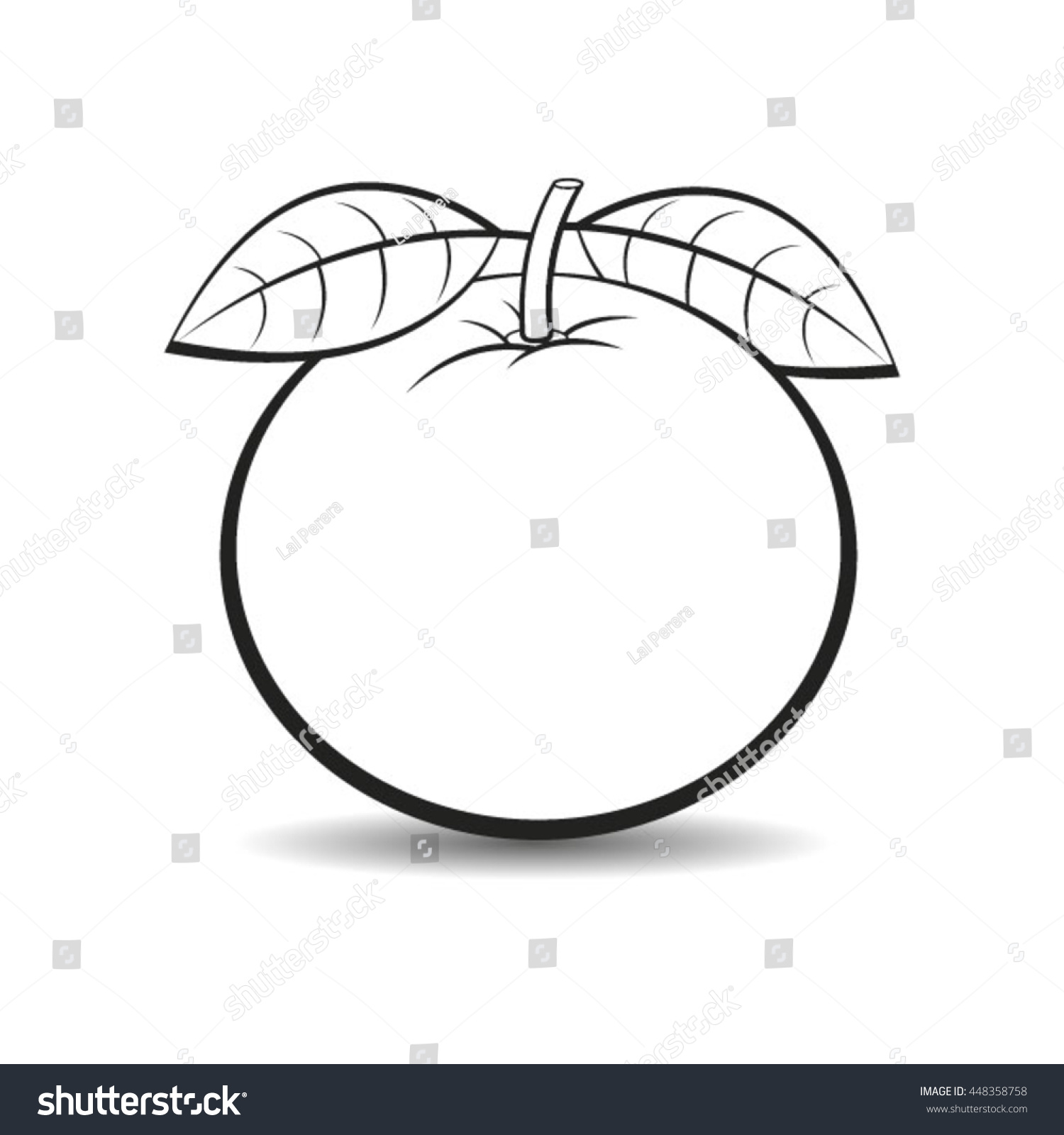 Outlined Orange Fruitvector Drawing Stock Vector (Royalty Free ...