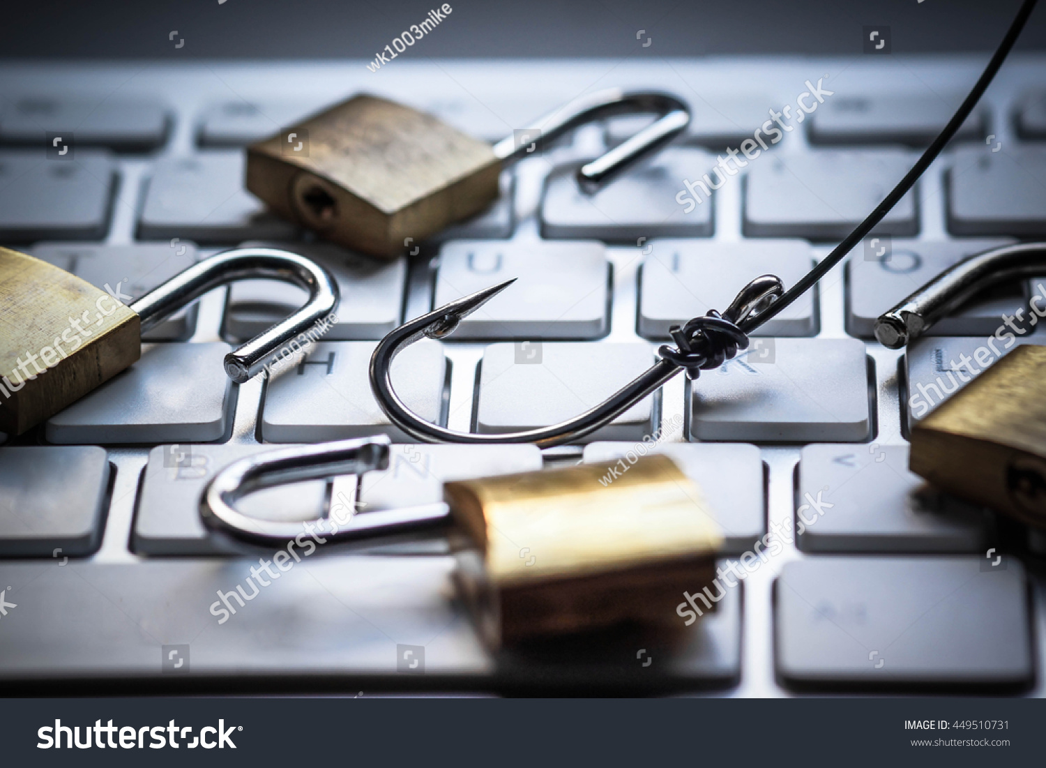 Phishing Attack Computer System Stock Photo 449510731 | Shutterstock