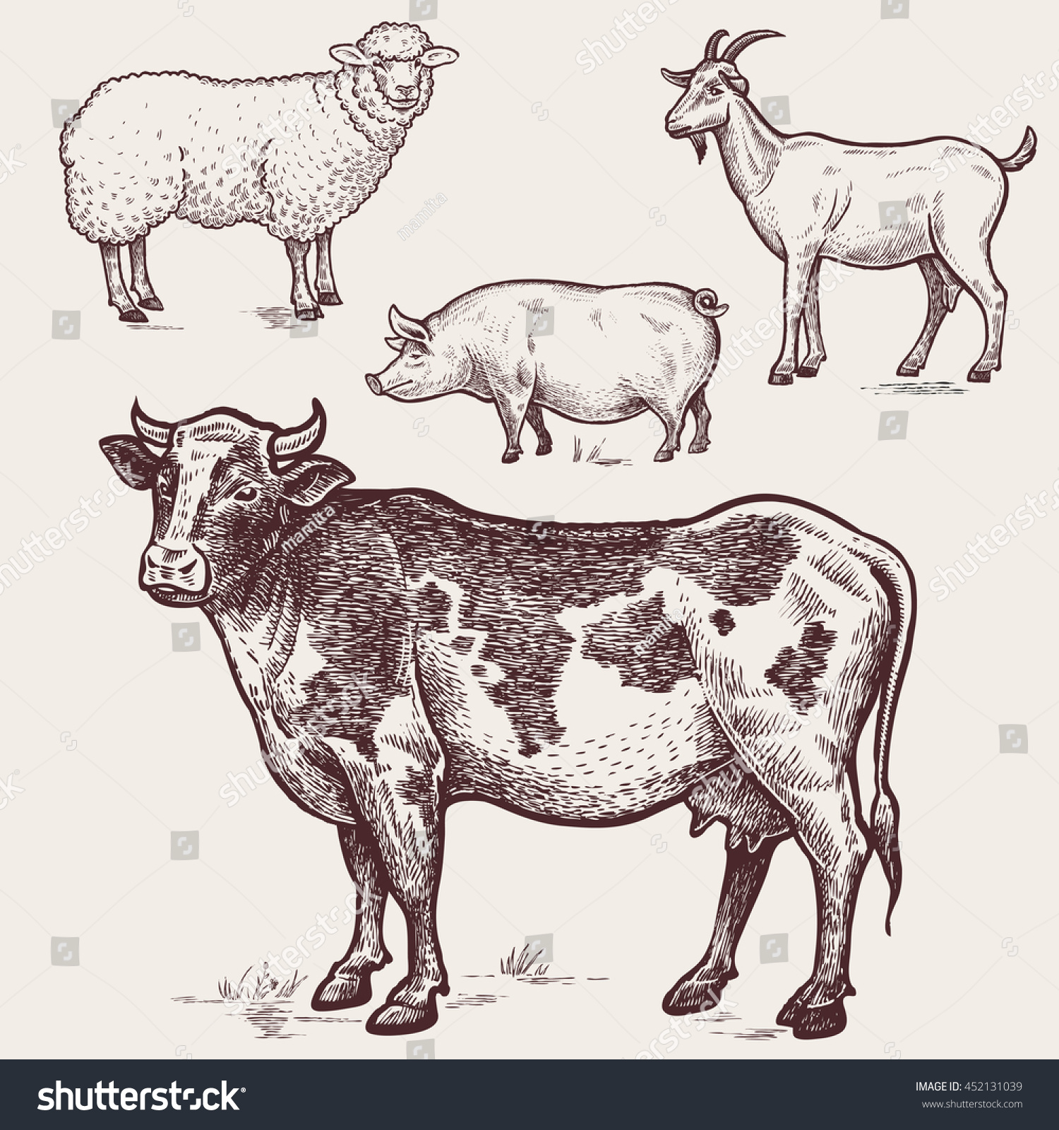 Коровы овцы козы