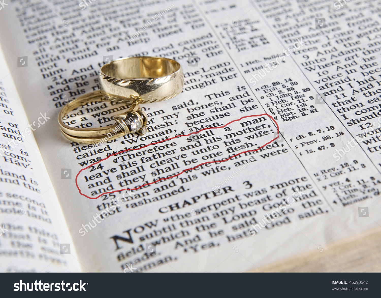 Encontre imagens stock de Wedding Rings Place On Open Bible em HD e milhões...