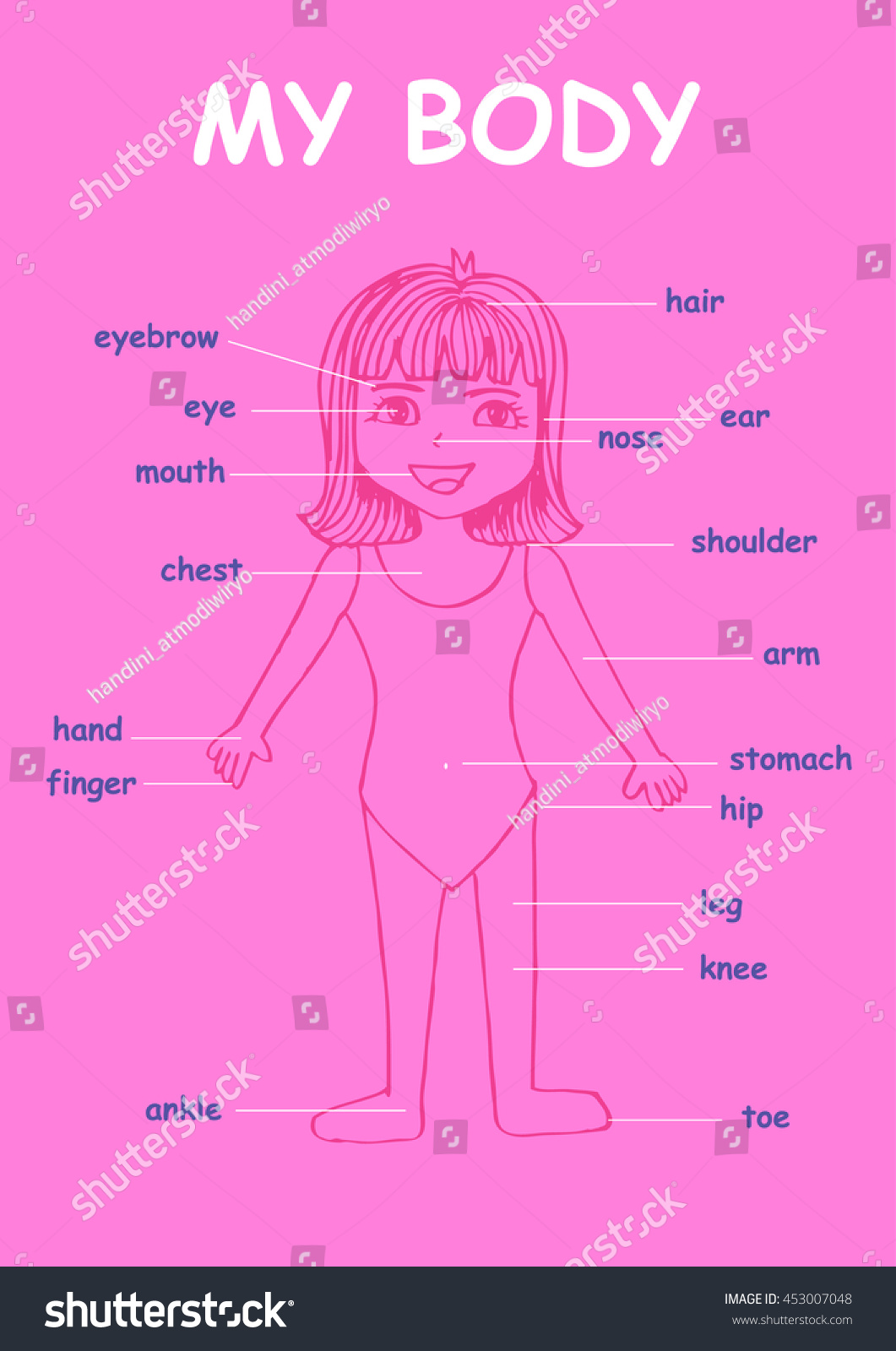 my-body-educational-info-graphic-chart-vector-de-stock-libre-de