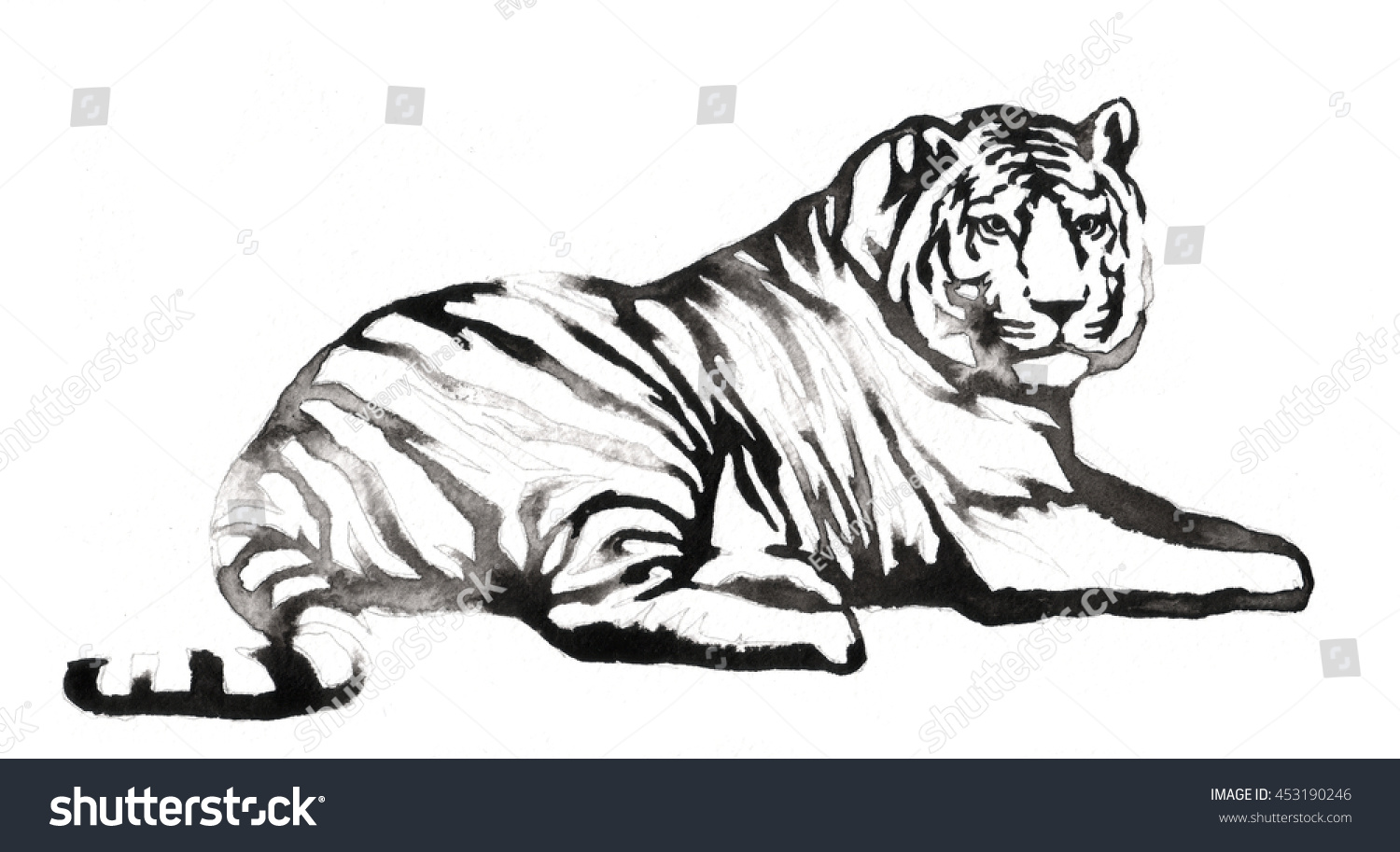 Рисунок лежащего тигра карандашом