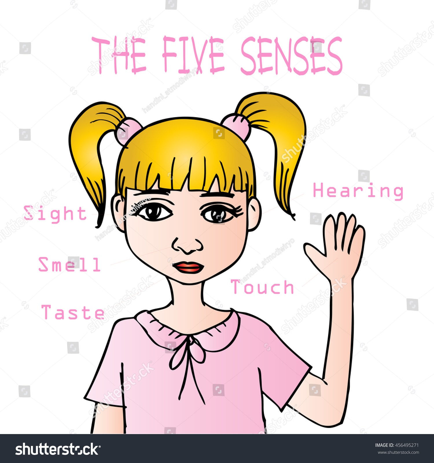 Five Senses Educational Concept Stock Vector (Royalty Free) 456495271 ...