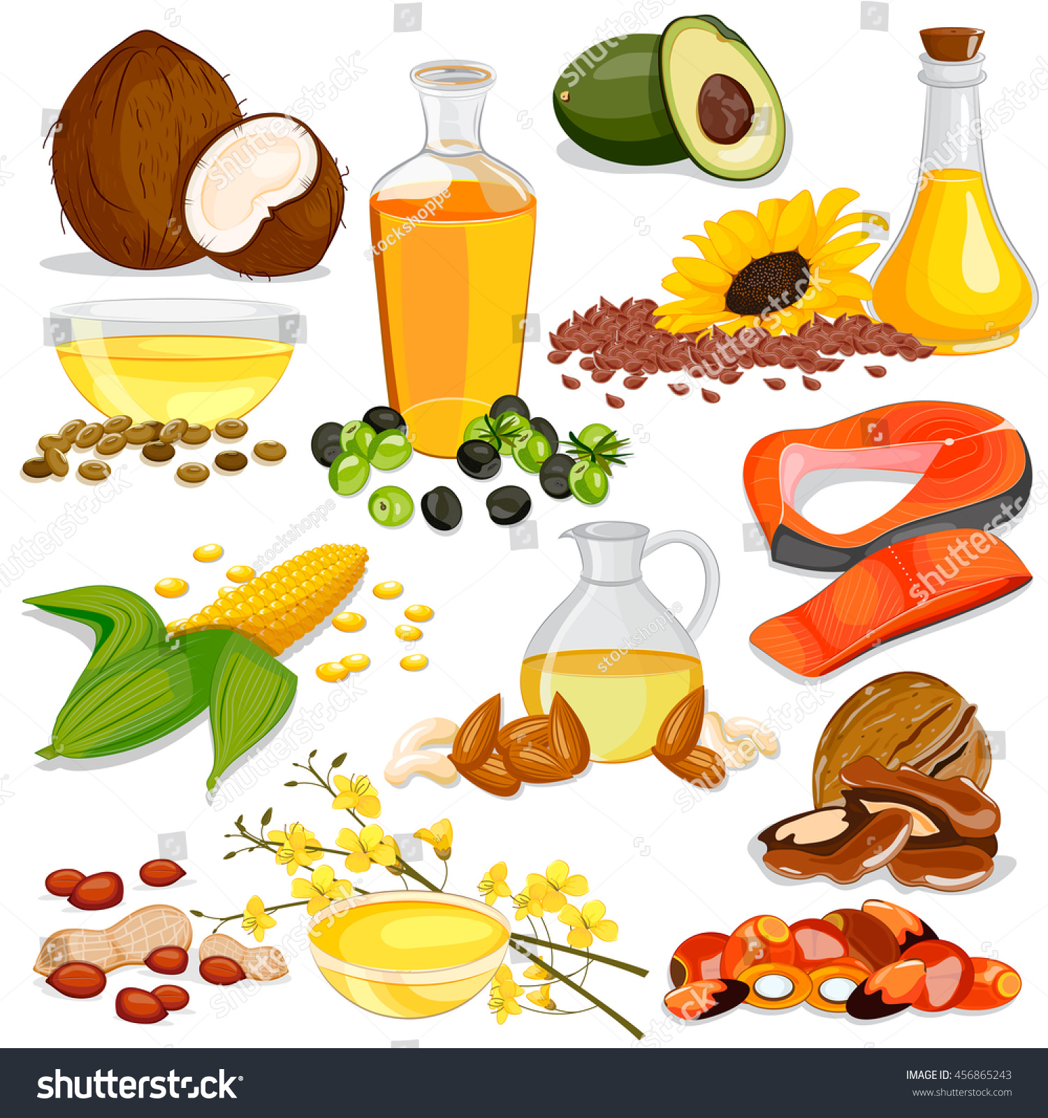 Vector Illustration Different Sources Edible Oil Stock Vector (Royalty ...