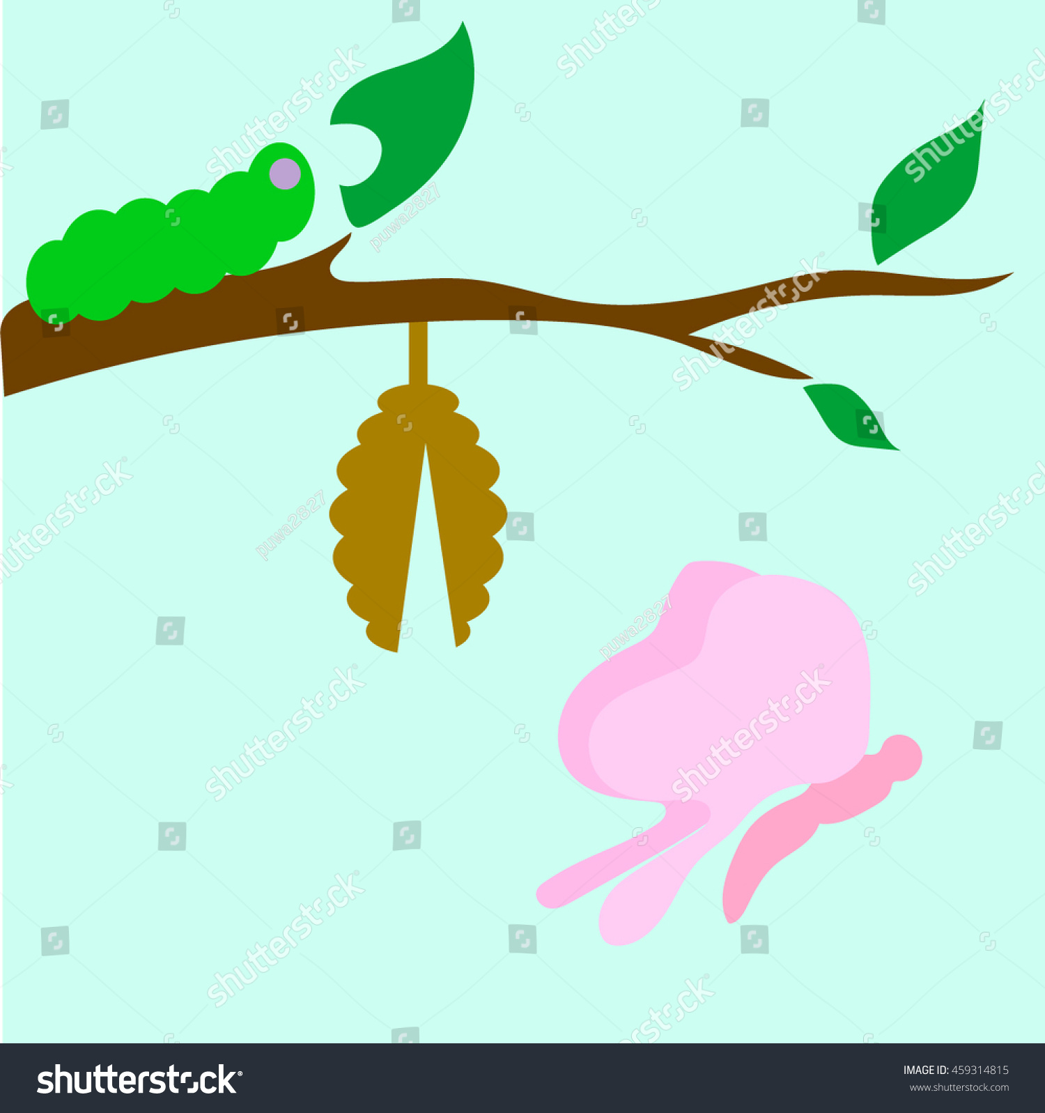 Life Cycle Butterfly Stock Vector Royalty Free 459314815 Shutterstock