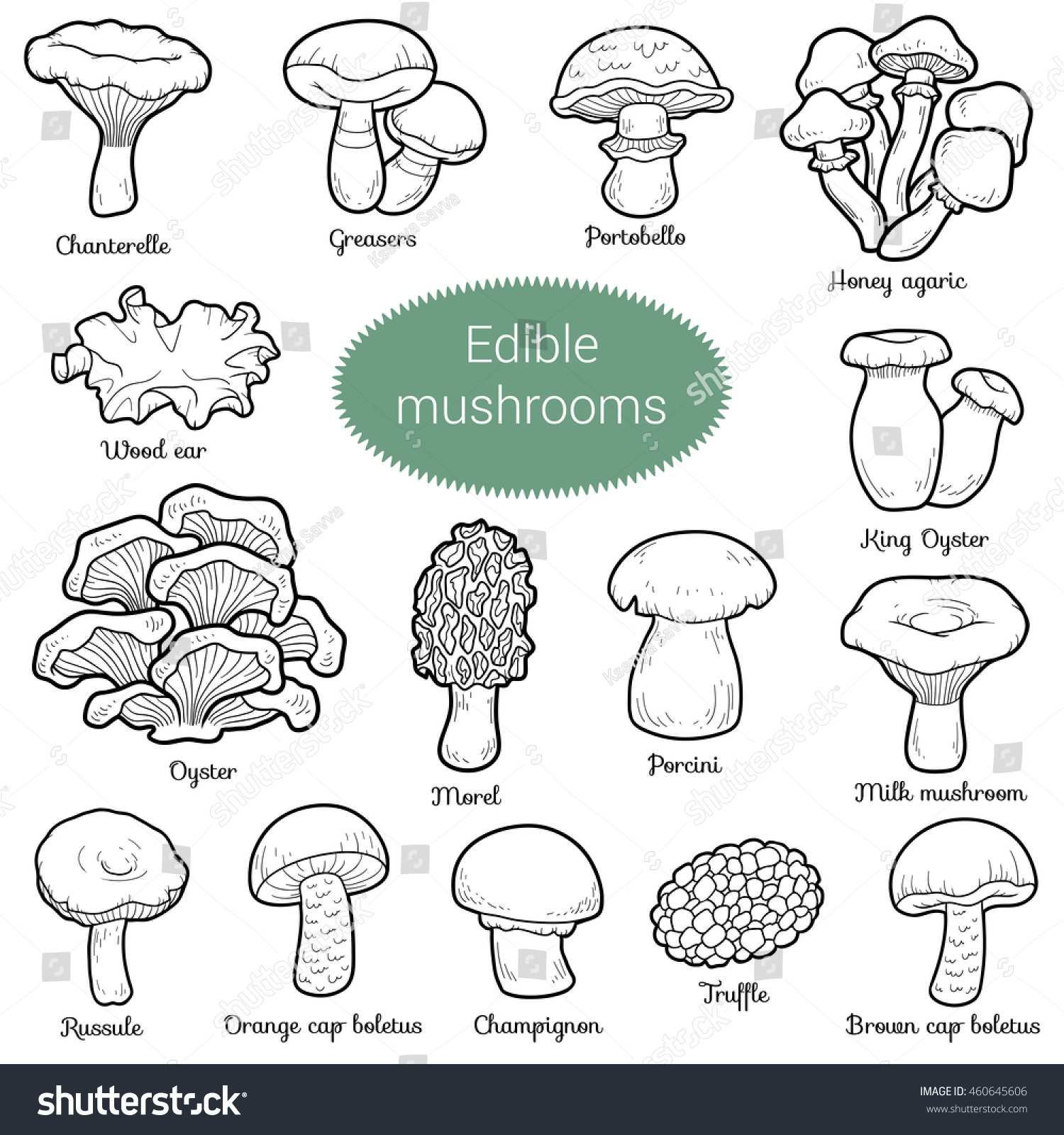 картинки ядовитых грибов для дошкольников