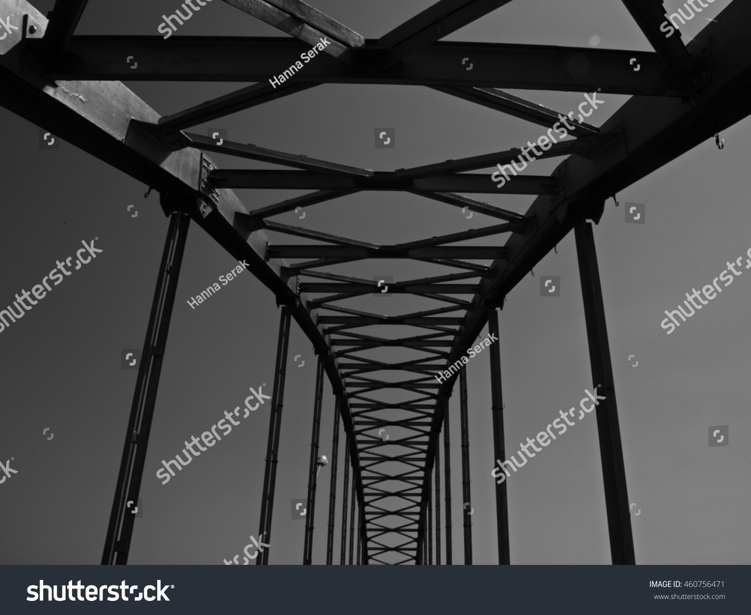 Spine Bridge Stock Photo 460756471 | Shutterstock