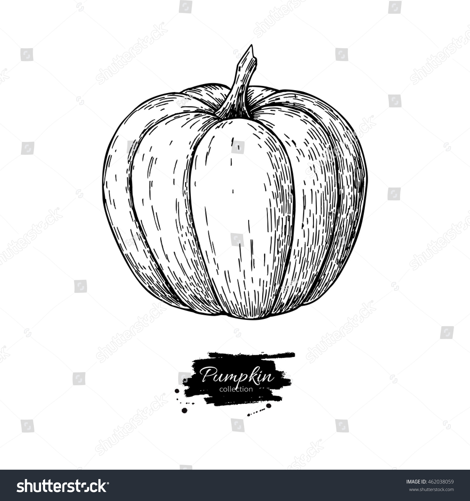 Pumpkin Vector Drawing Isolated Hand Drawn Stock Vector Royalty Free 462038059 Shutterstock 