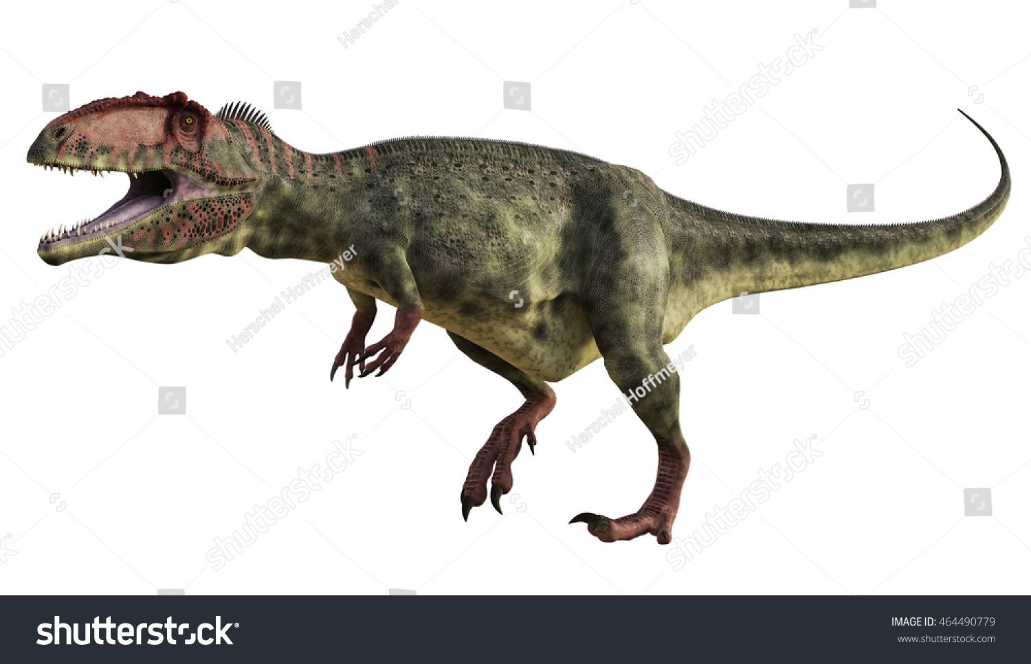 3d Rendering Giganotosaurus Stock Illustration 464490779 | Shutterstock