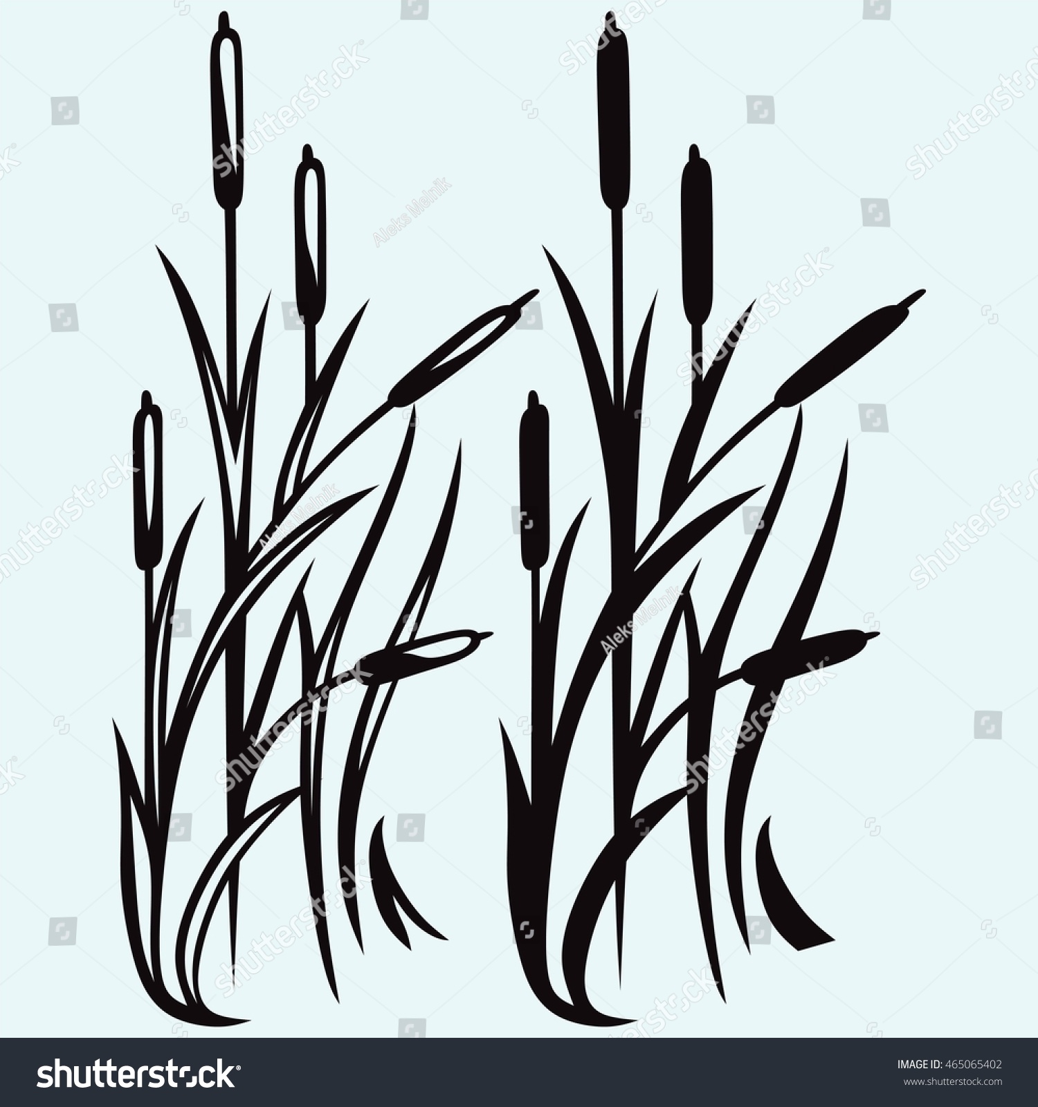 Silhouette Reed Isolated On White Background Stock Vector (Royalty Free ...