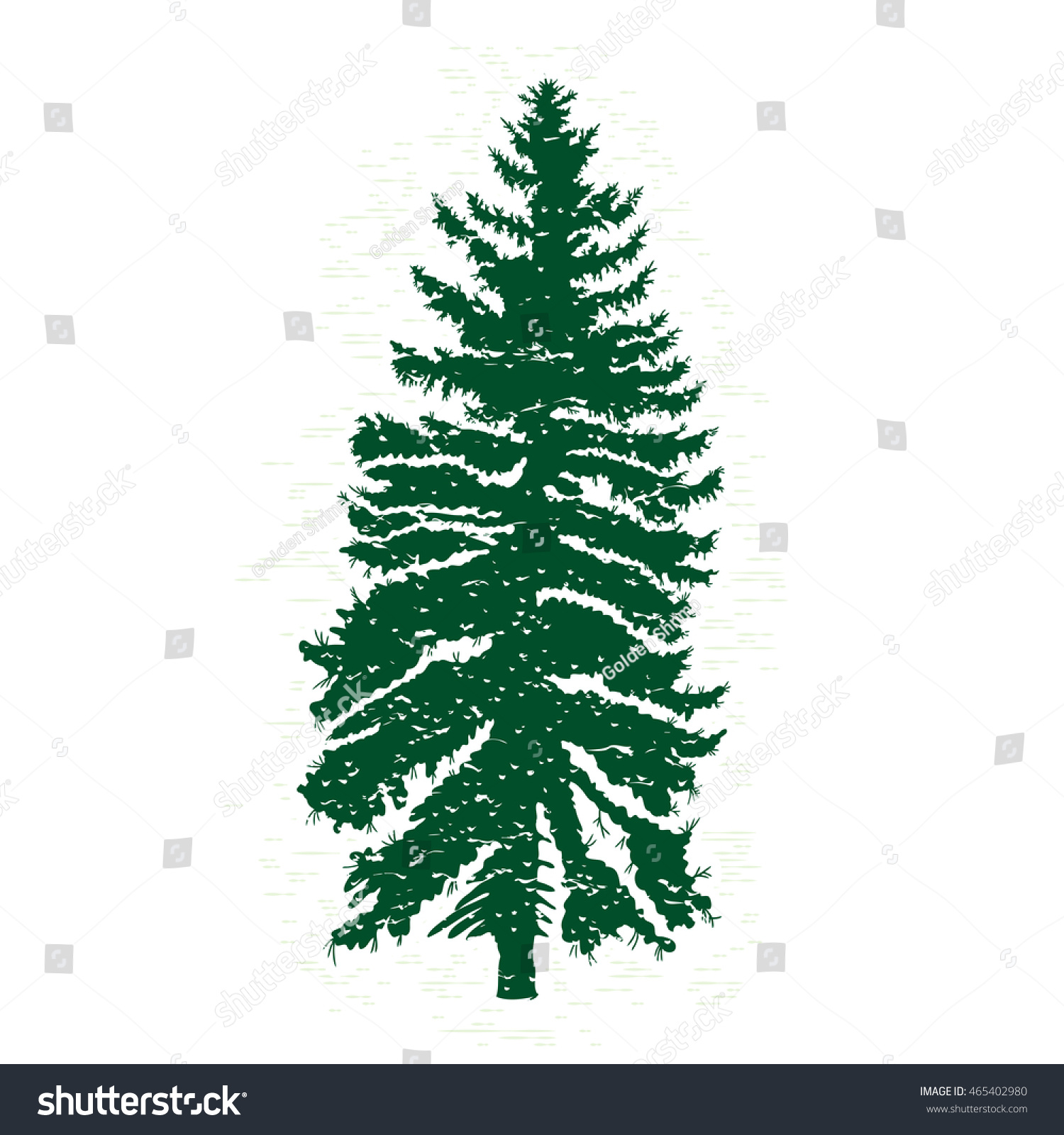 Vector Evergreen Silhouette Pine Fir Tree Stock Vector (Royalty Free ...