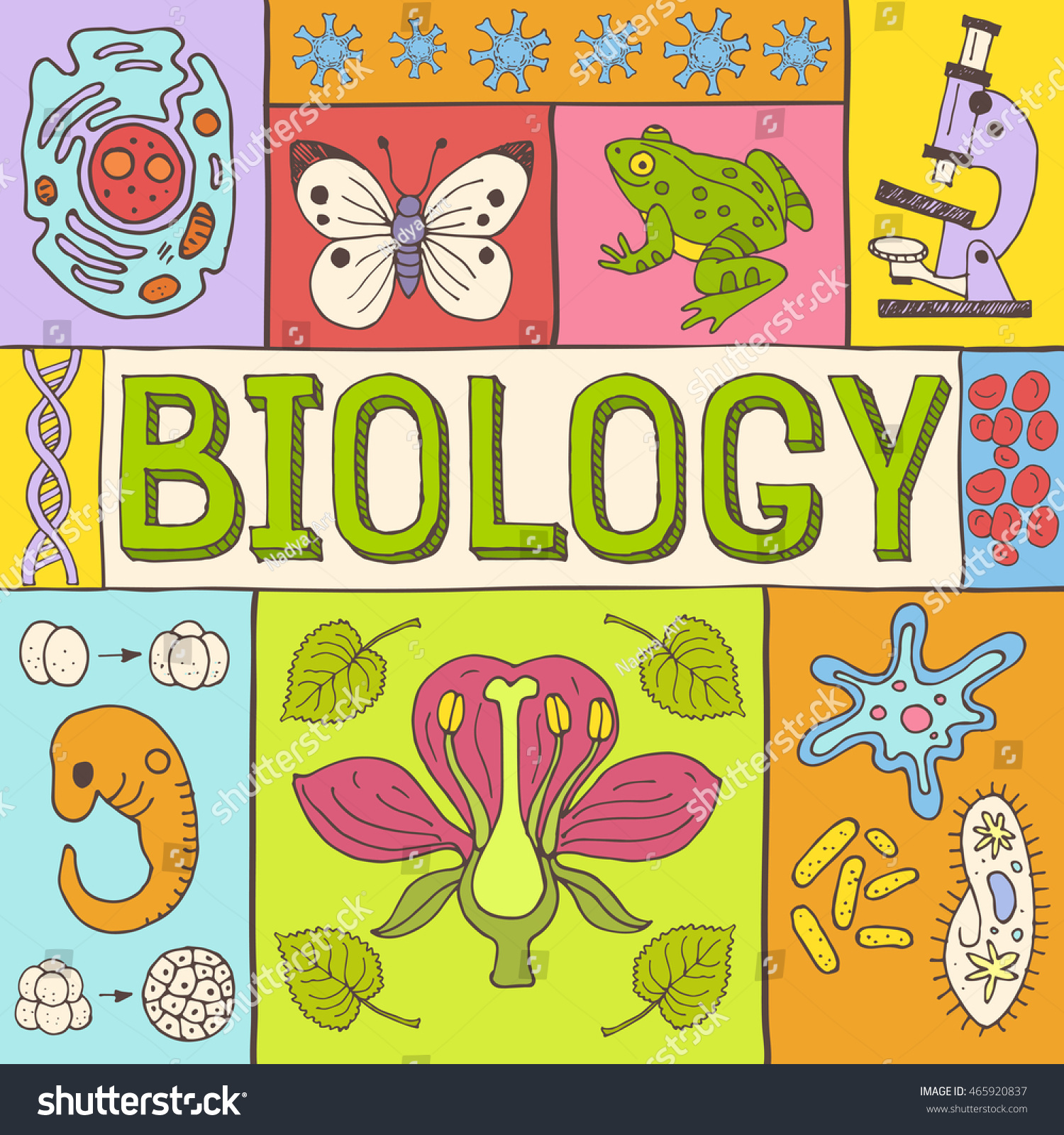 biology-hand-drawn-colorful-vector-illustration-stock-vector-royalty