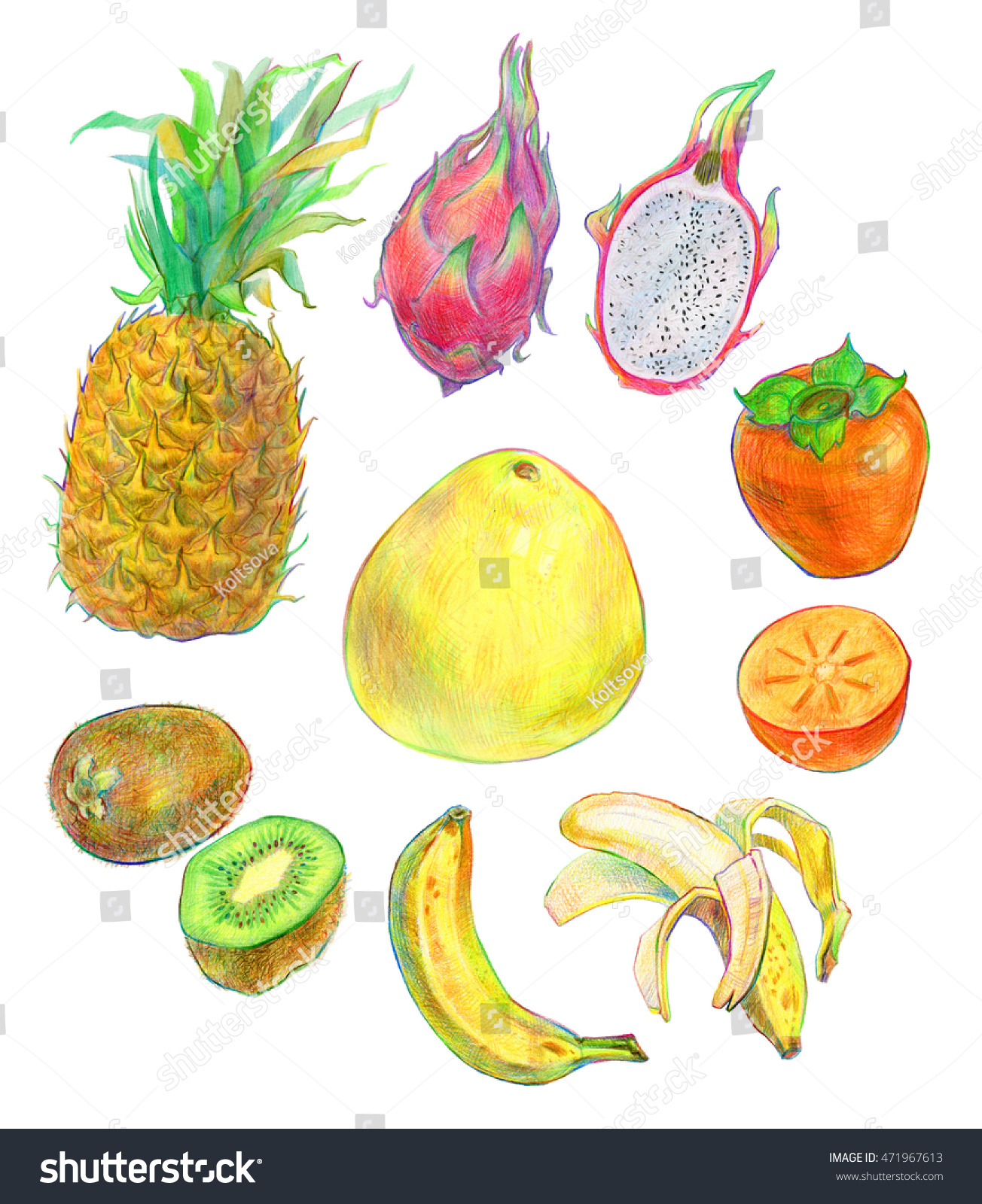 Тропические фрукты нарисованные