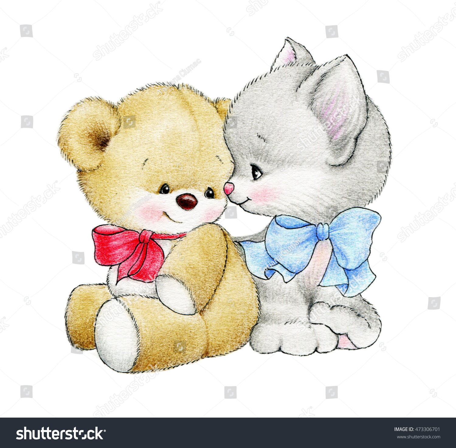 teddy and cat