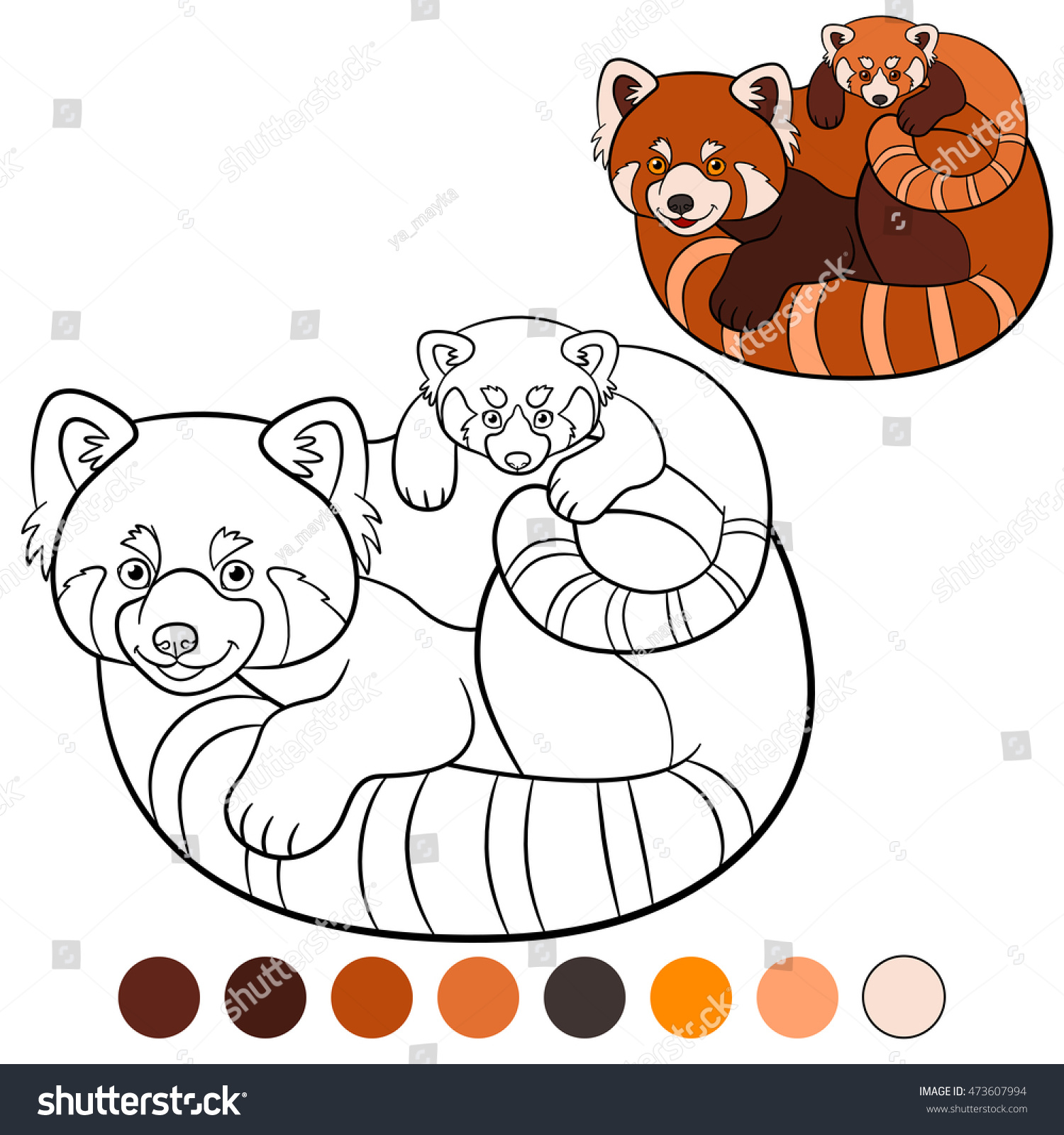 Рыжая Панда раскраска