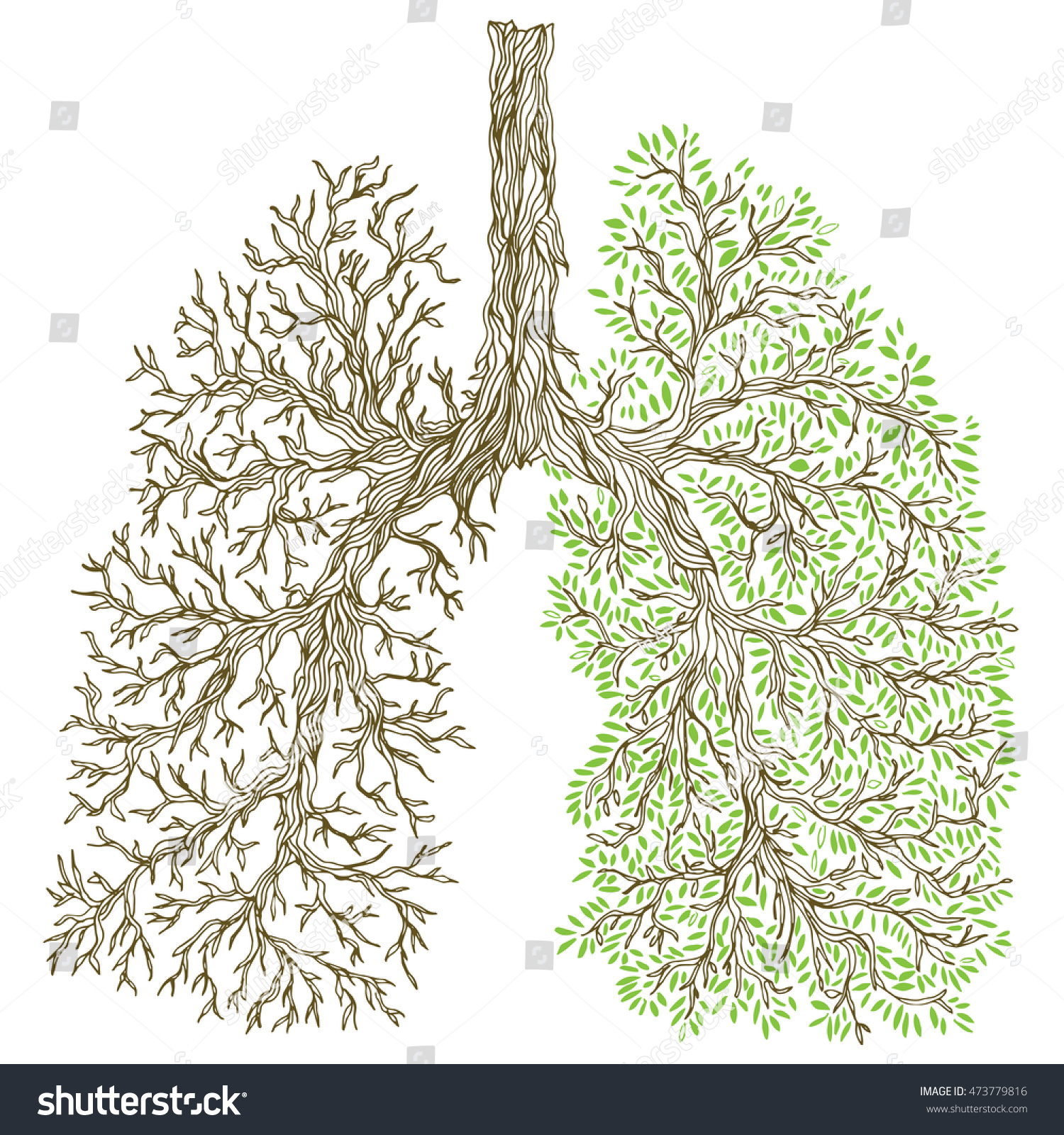 Дерево из лёгких