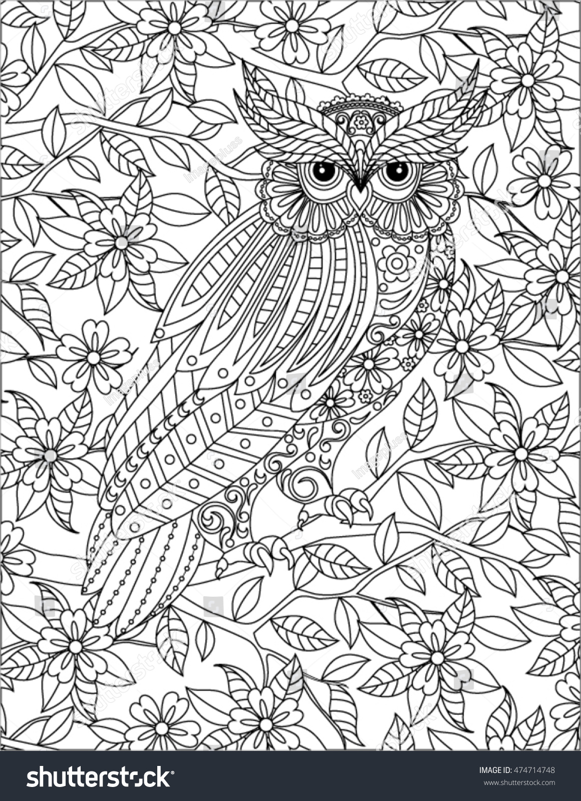 Hand Drawn Bird Coloring Page Stock Vector (Royalty Free) 474714748 ...