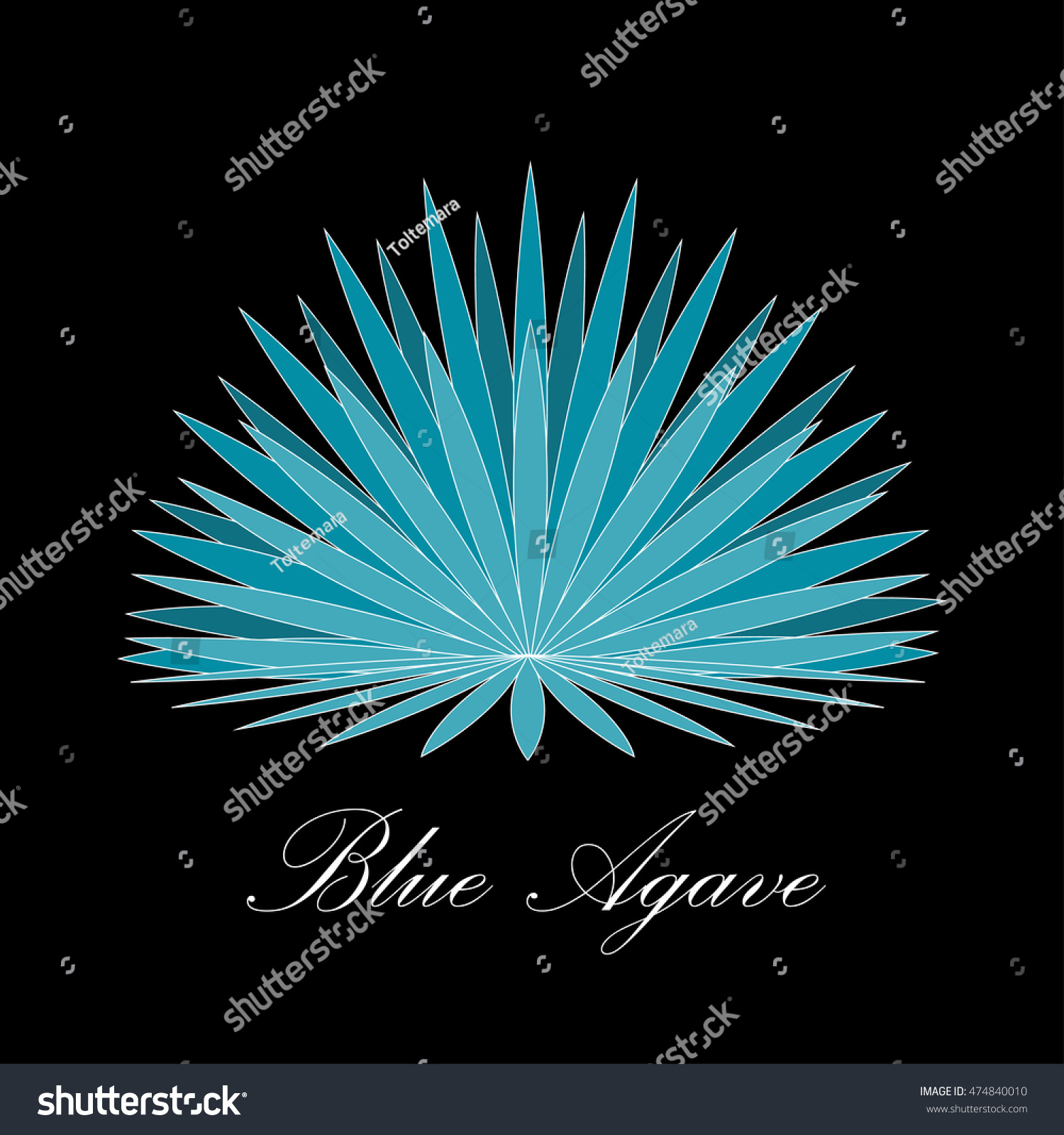 Blue Agave Tequila Agave Plant Vector Stock Vector (Royalty Free ...