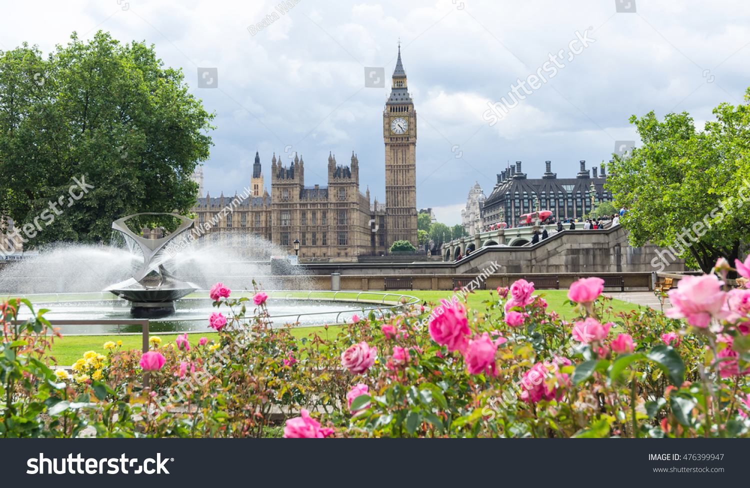 цветы лондона
